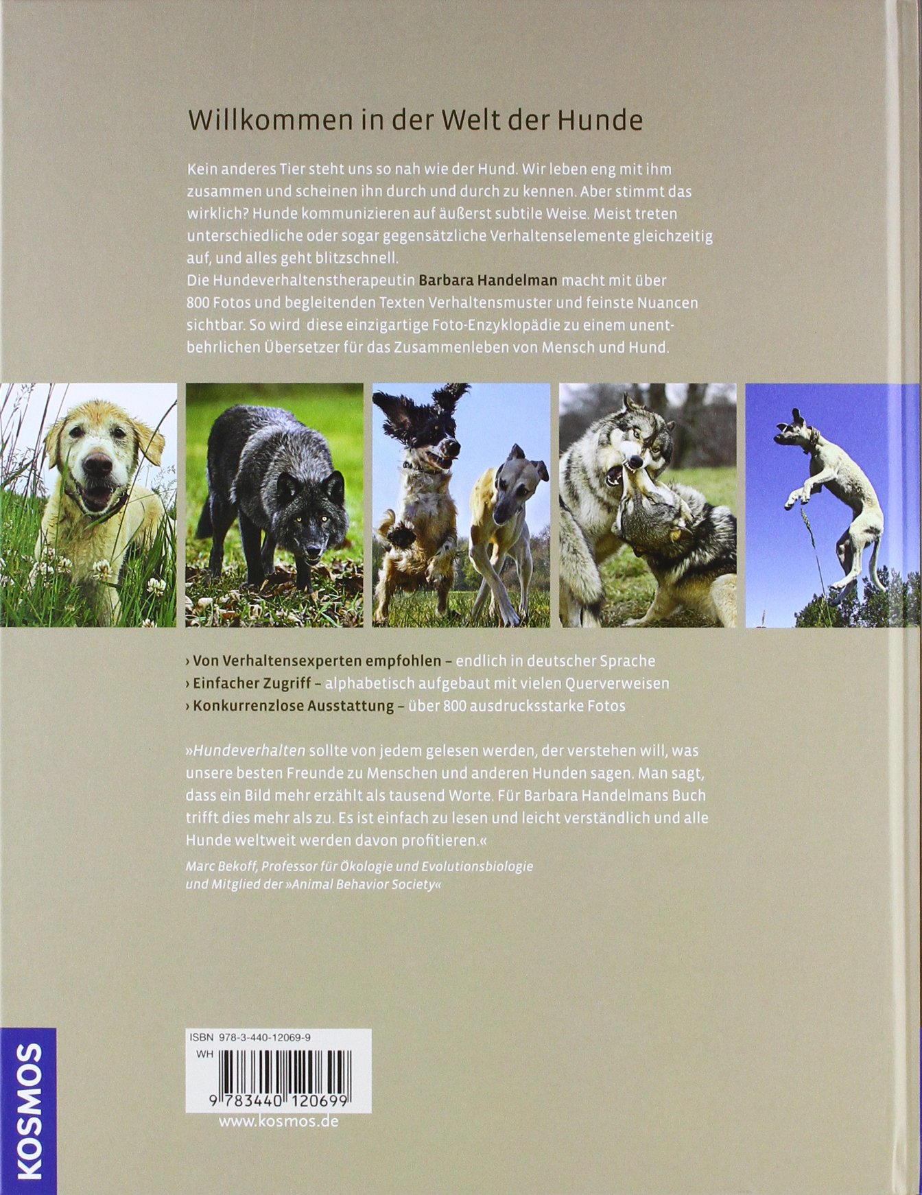 Hundeverhalten: Mimik, Körpersprache und Verständigung, mit über 800 ausdrucksstarken Fotos