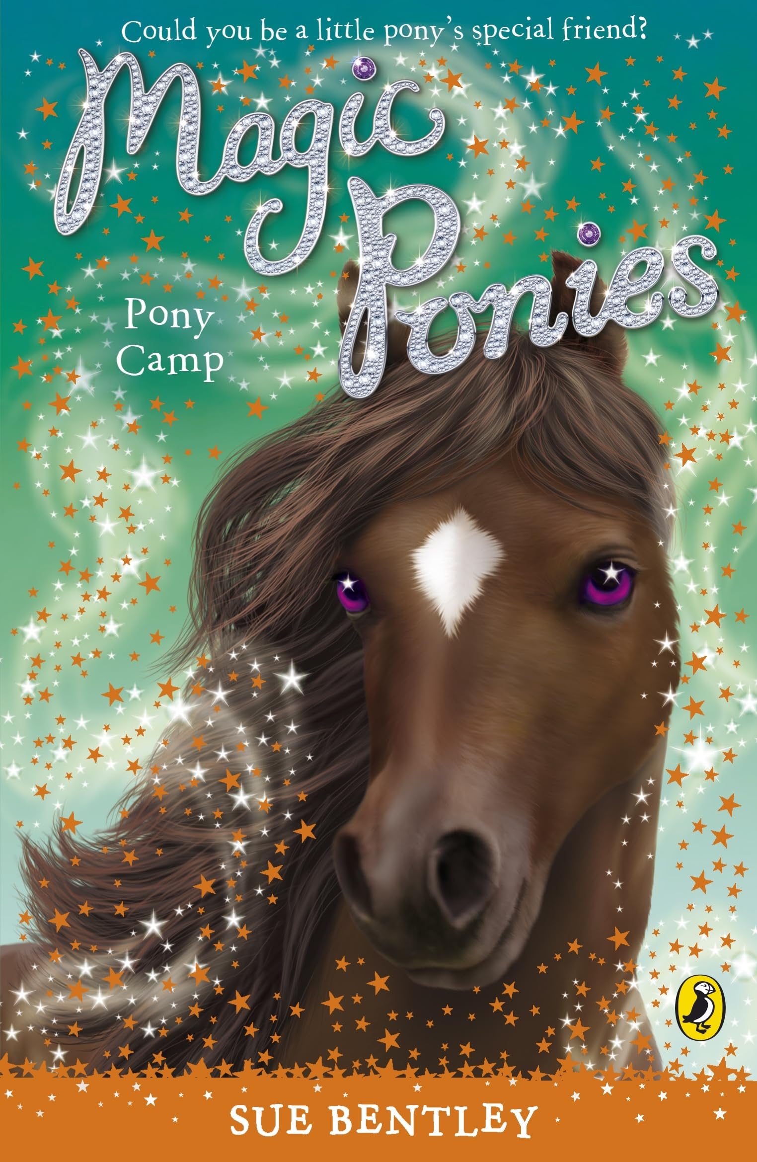 Magic Ponies: Pony Camp by Sue Bentley (Paperback Book)