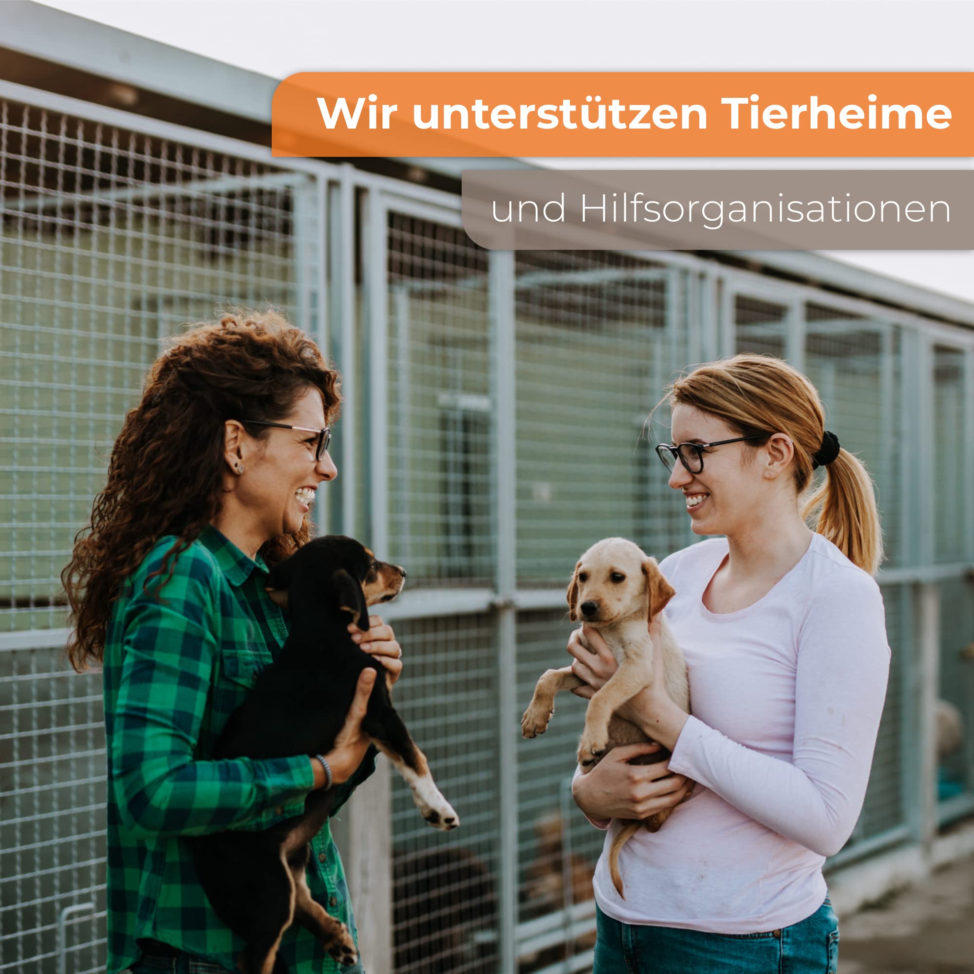 Hundefutter Adult 4 Verschiedene Sorten Pastete/Pate 90 x 300g