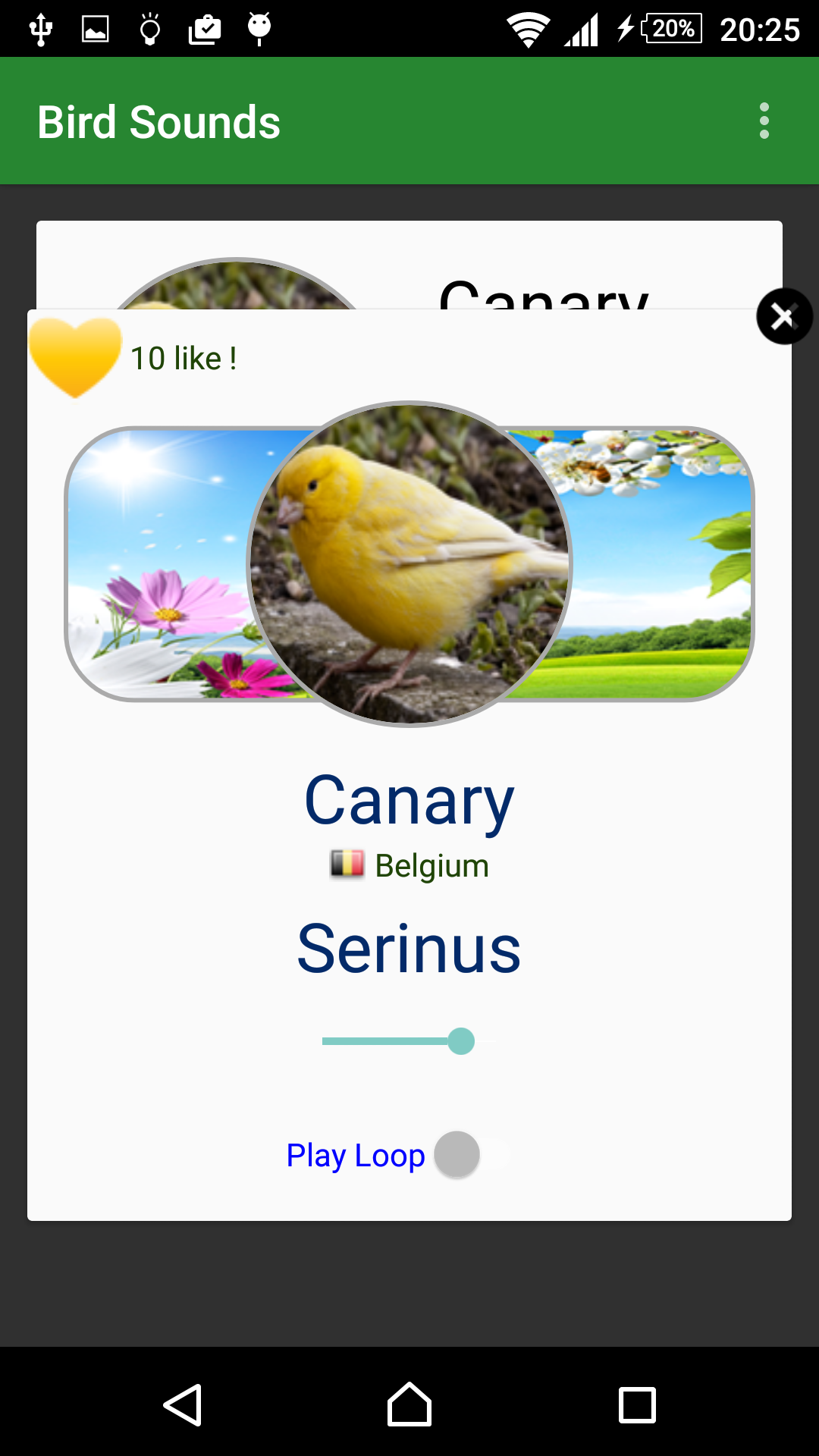 Bird Sounds - App on Amazon Appstore