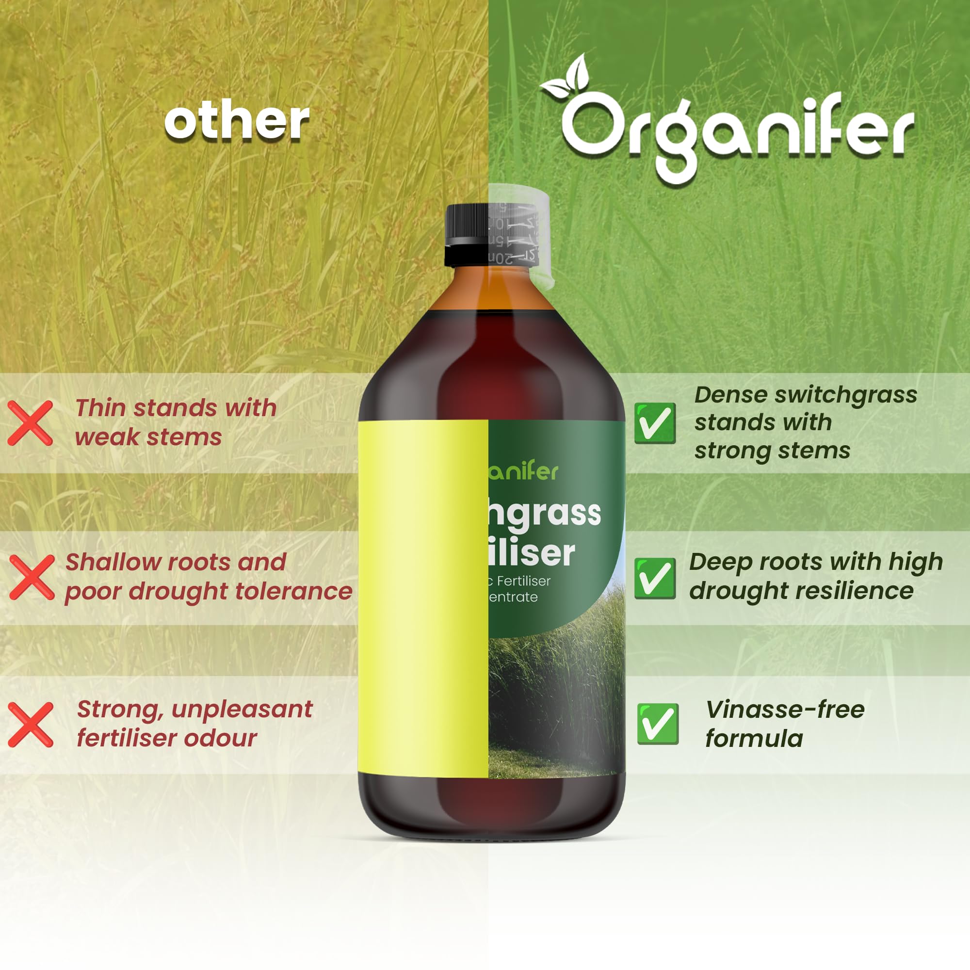 Fertilizante Líquido Para Panicum 10L – Abono Orgánico Para Hojas Saludables Y Crecimiento Fuerte – Refuerza Raíces Y Vitalidad – Organifer