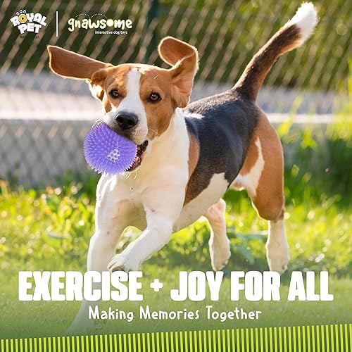 Miniatura 6 de Gnawsome Juguete para perros de 4.5 pulgadas, con chirrido y bola ligera, extragrande, limpia los dientes y promueve la salud dental y de las encías