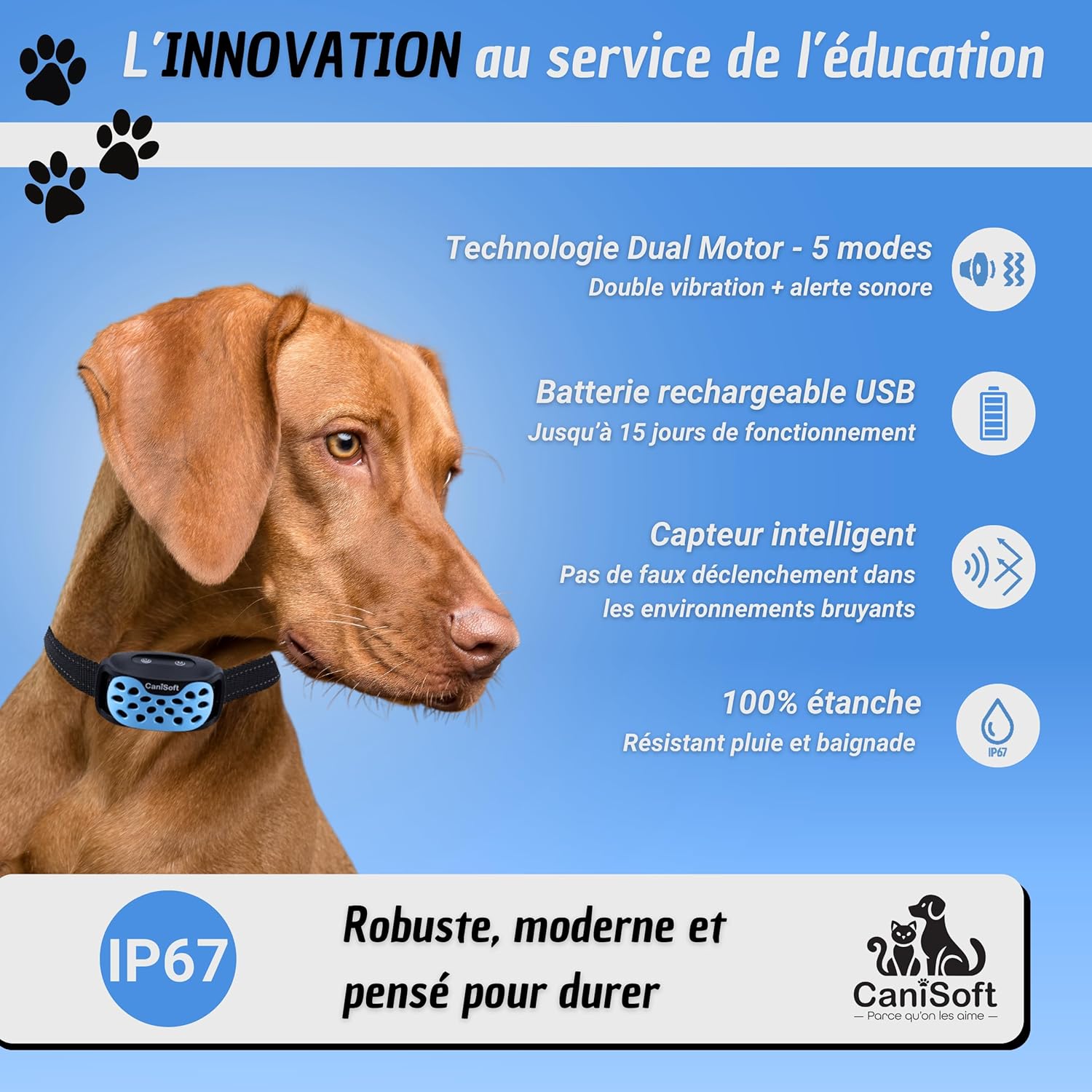 Conseils d'utilisation collier anti aboiement Canisoft