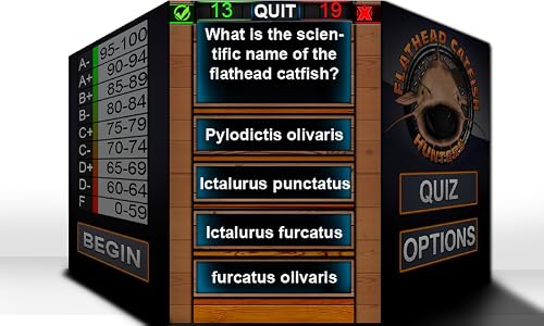 Flathead Catfish Quiz #TOP1