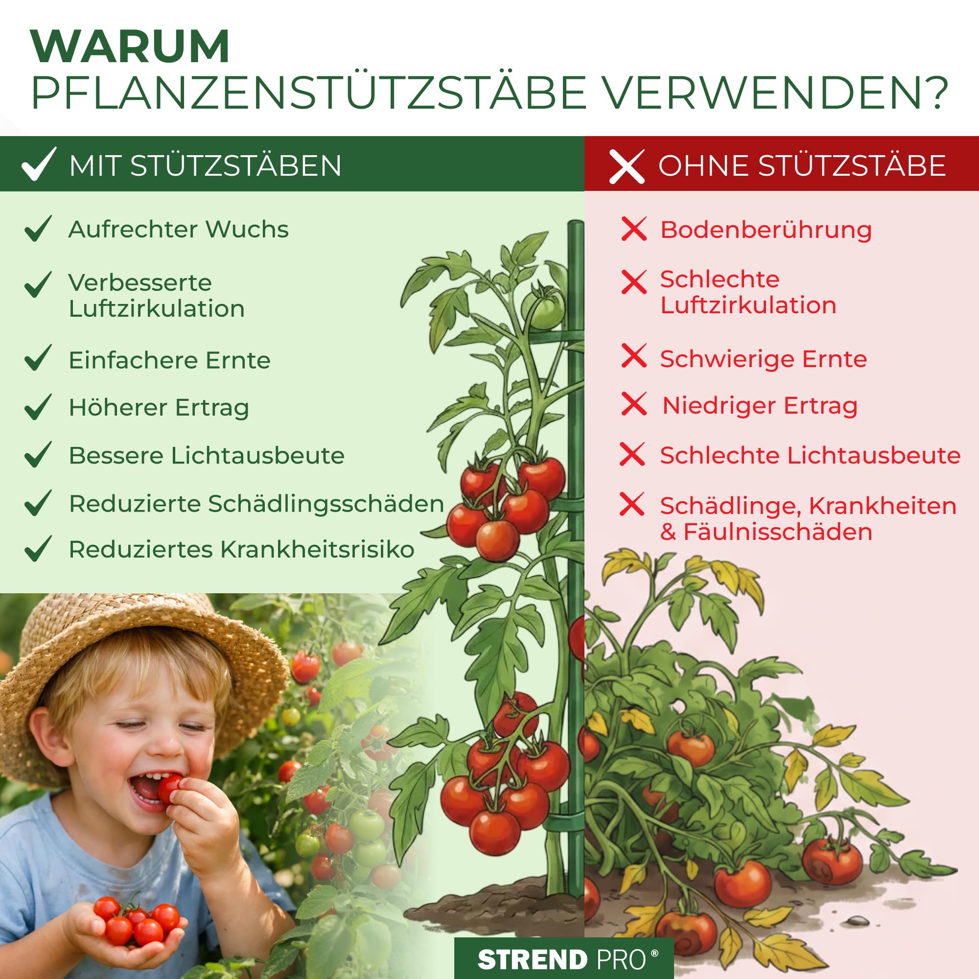 STREND PRO Tomatenstäbe 150 cm - 25 STK. | Spiralstab Ø 6 mm Verzinkter Stahl | Pflanzstab, Tomatenstütze, Rankhilfe, Stangen für Tomaten | Rankstab Metall | Spiral Bohnenstange Pflanzenstütze groß