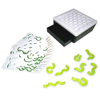 Science Wiz Cool Circuits [並行輸入品] Science Wiz Cool Circuits [並行輸入品] (shin