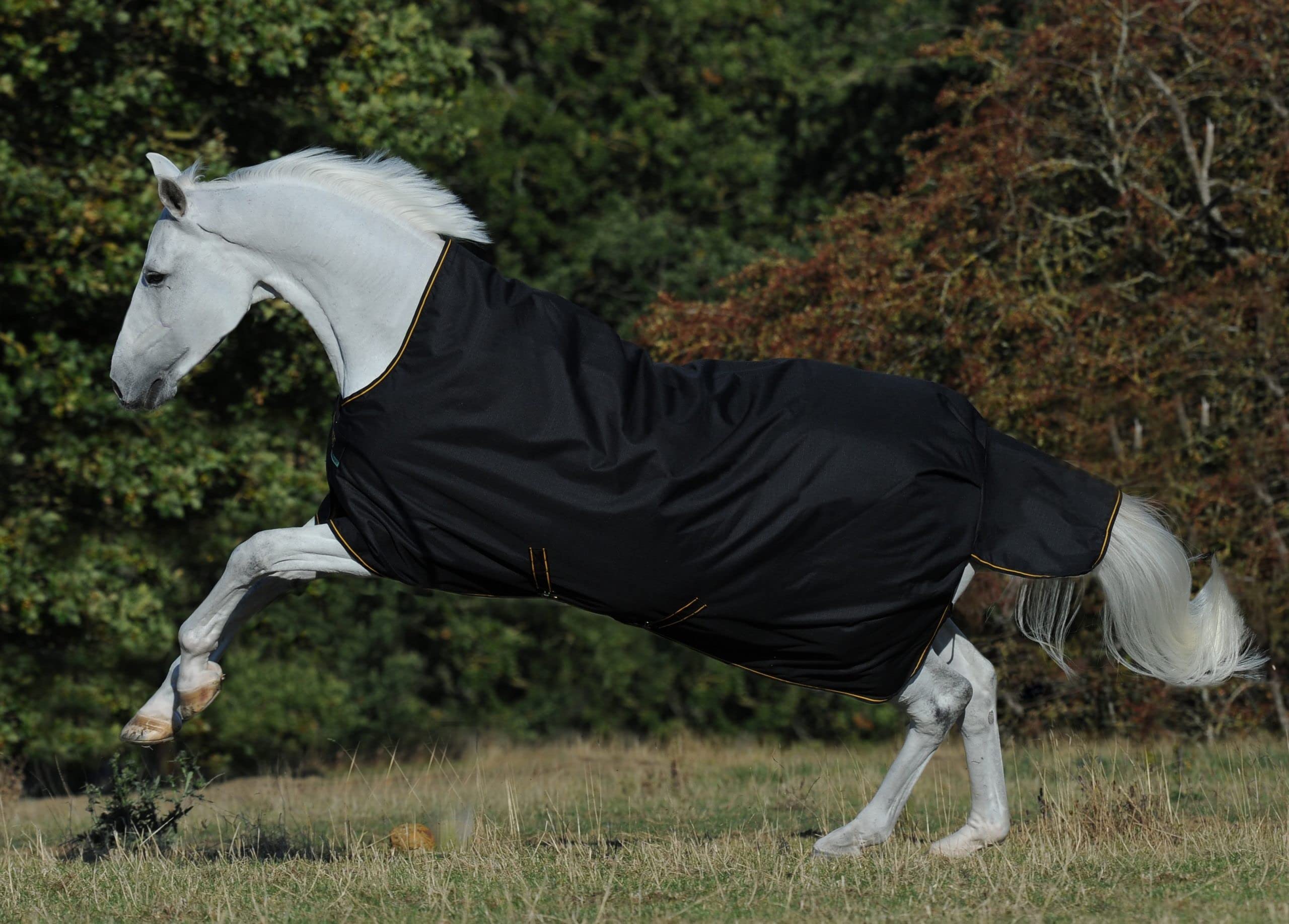 Bucas IrishTurnout - Coperta per cavallo, extra 300 g, 130 SW/Gold