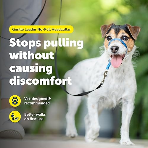 Miniatura 2 de Collar suave de conducción con DVD de entrenamiento PetSafe, Azul Royal