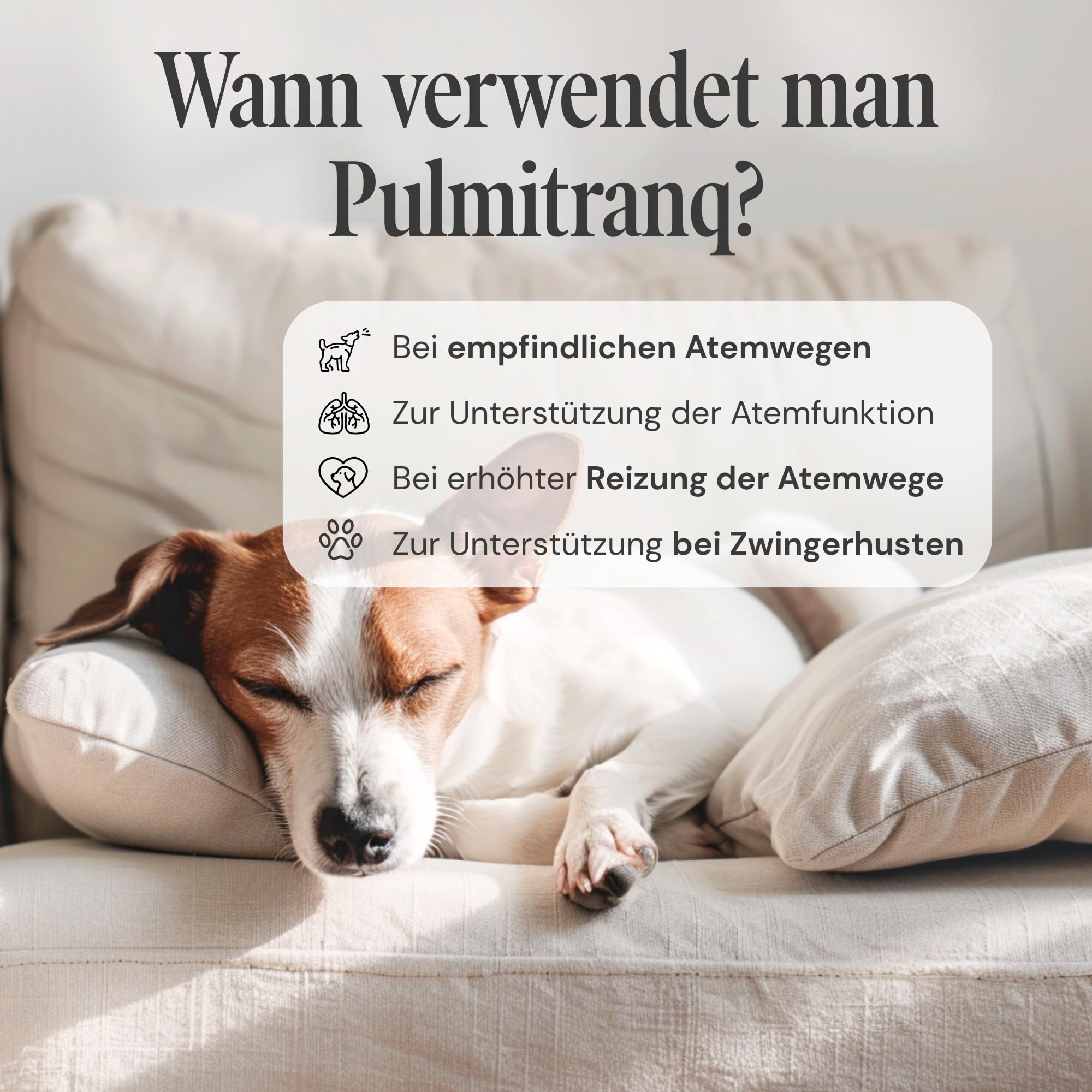 Pulmitranq Hund - Kräuter für Atemwege & Lunge - 90 Tabl.