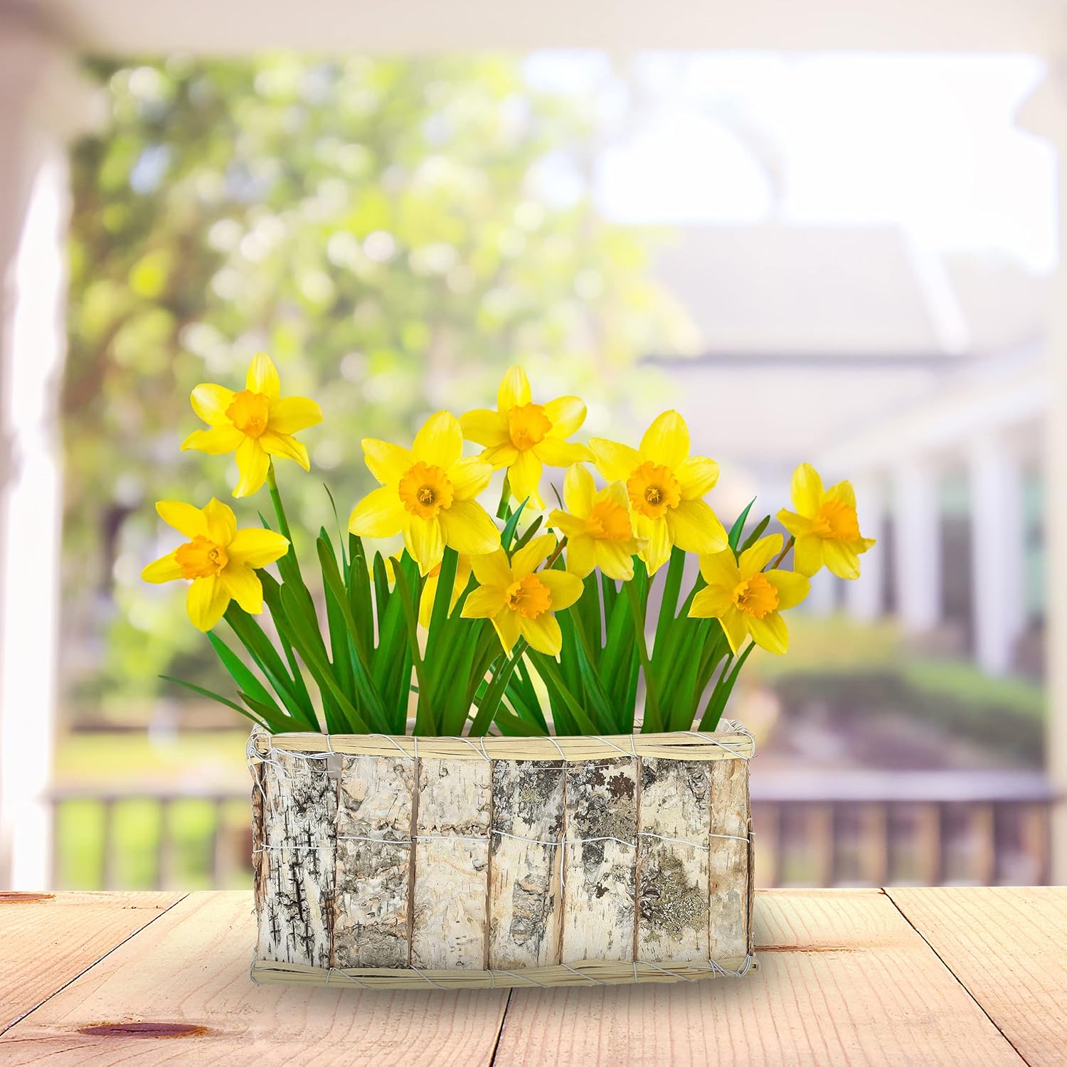 Relaxdays 3x Rectangular Flowerpots, Birch Bark, Flowers & Herbs, Plant Baskets with Foil, in 3 Sizes, Wooden, Natural, Wood, 14 x 28 x 17.5 cm