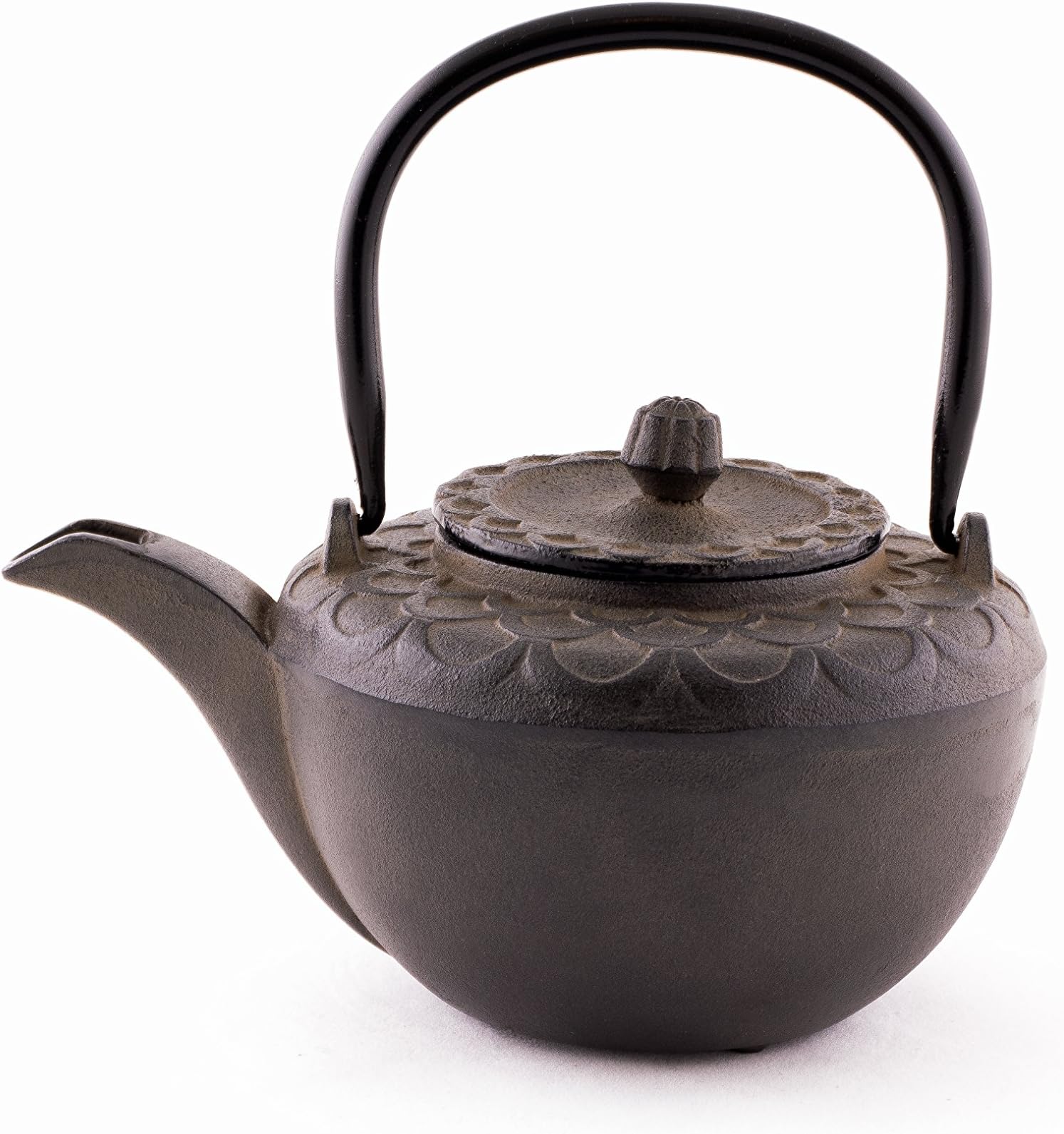 JAPAN Teayumi Nozomi Teapot 0.6 Litres Cakizume Cast Iron Black / Grey