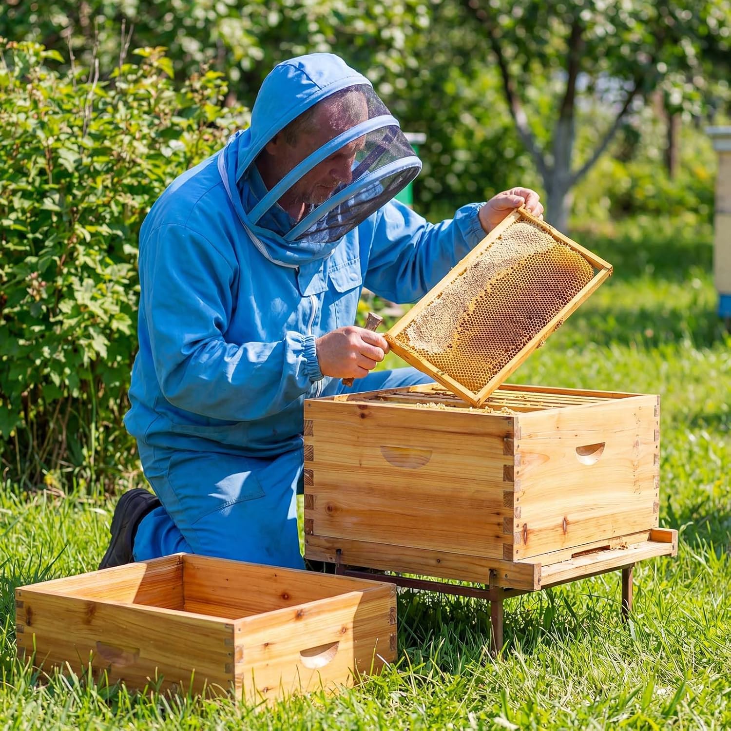 2 Pcs 10 Frame Bee Hives Boxes Starter Kit Including Deep Brood Wooden Frames and Medium Super Beehive Box with Beeswax Wood Construction for Beginners Beekeepers(Unassembled)