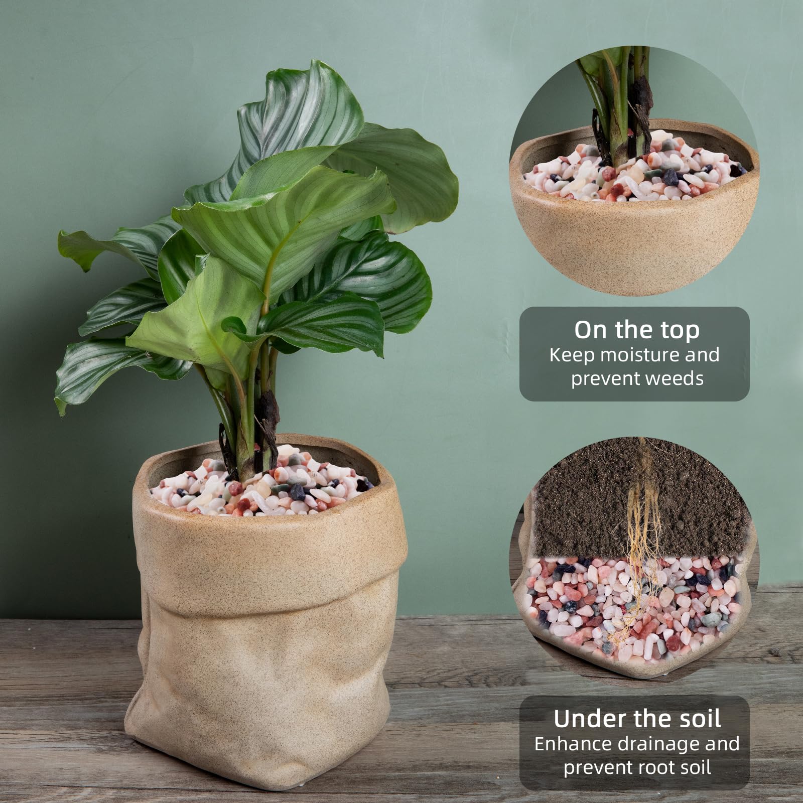 Gravier décoratif naturel de 2,3 kg, galets polis, idéal pour aquarium, vases, plantes grasses, décoration d'intérieur et aménagement paysager de jardin, campagne