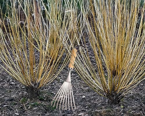 Miniatura 4 de Rastrillo de 9 dientes de acero inoxidable