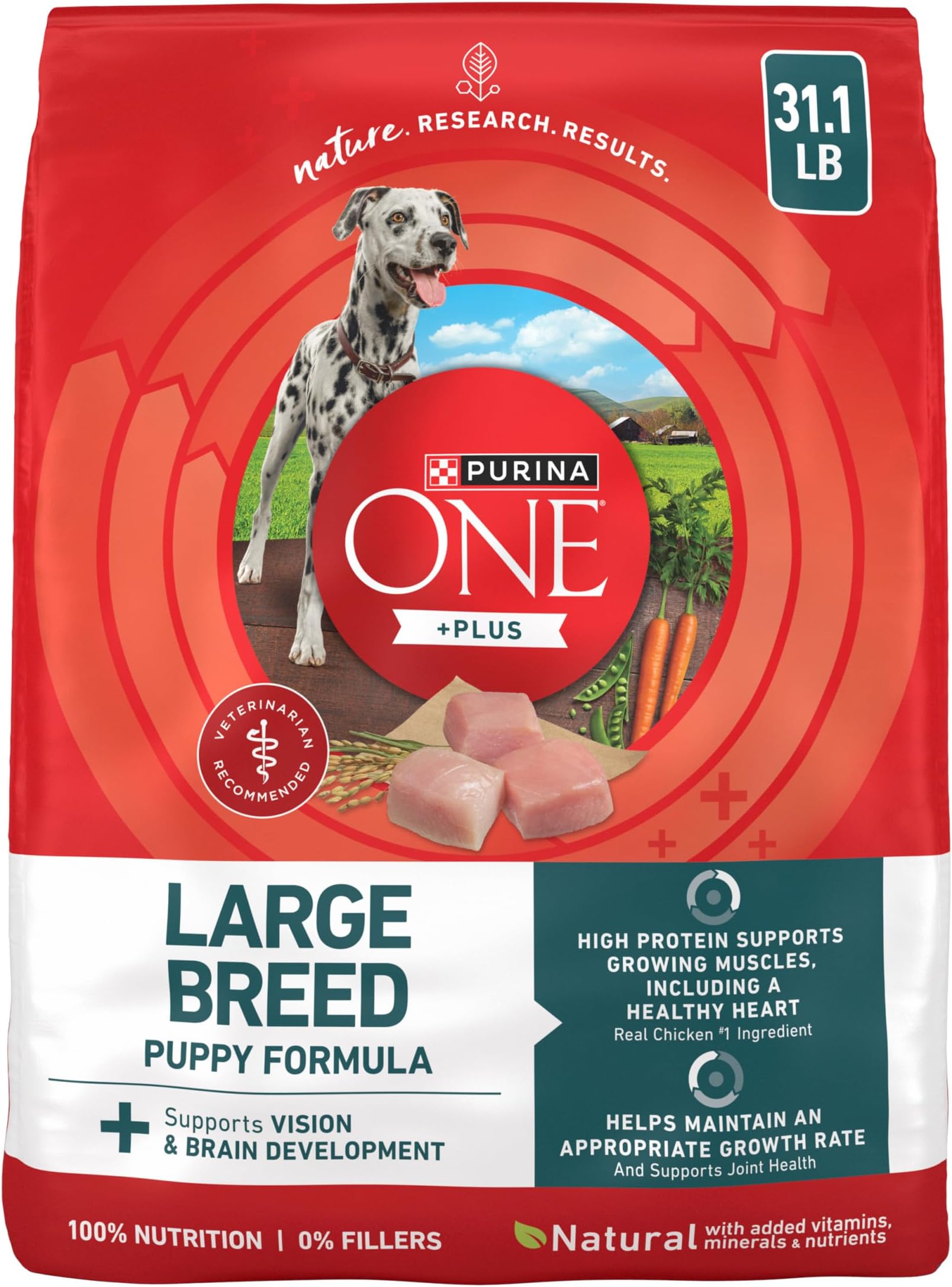 Plus Puppy Dry Dog Food for Large Dogs High Protein Growth Support, Real Chicken - 31.1 lb Bag
