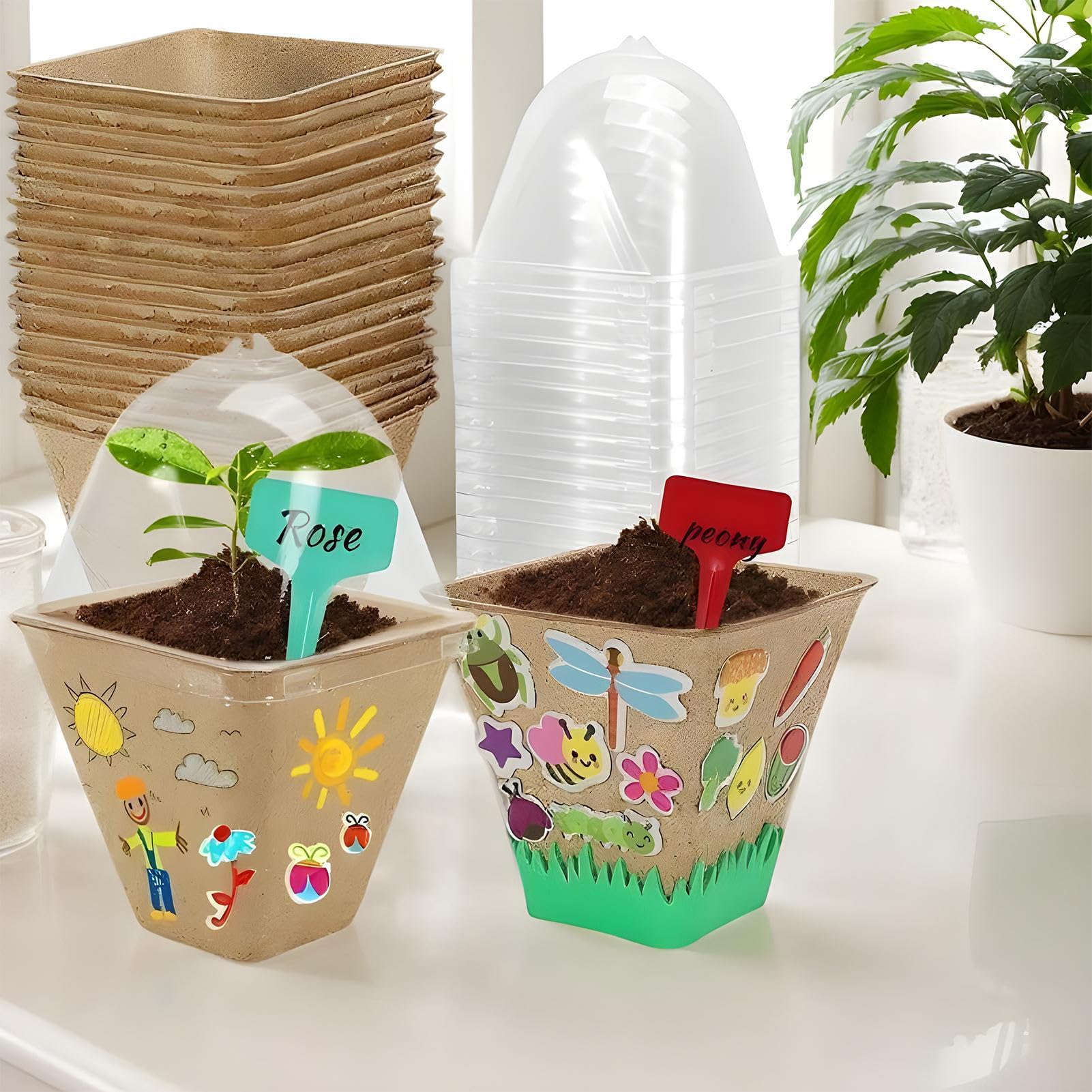 Kit De Plantación Para Niños Juego de Macetas para Jardinería