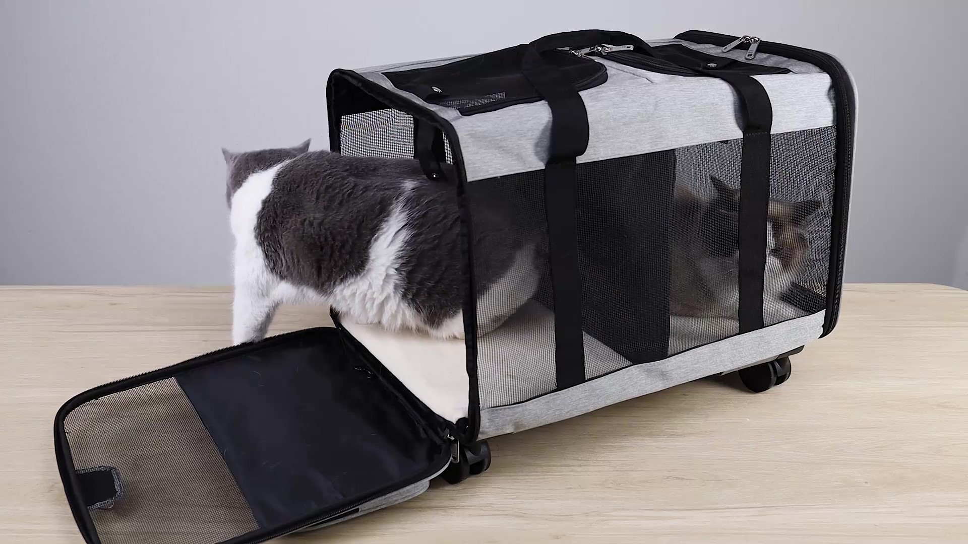 Trasportino Gatto Trasportino Con Ruote Per Due