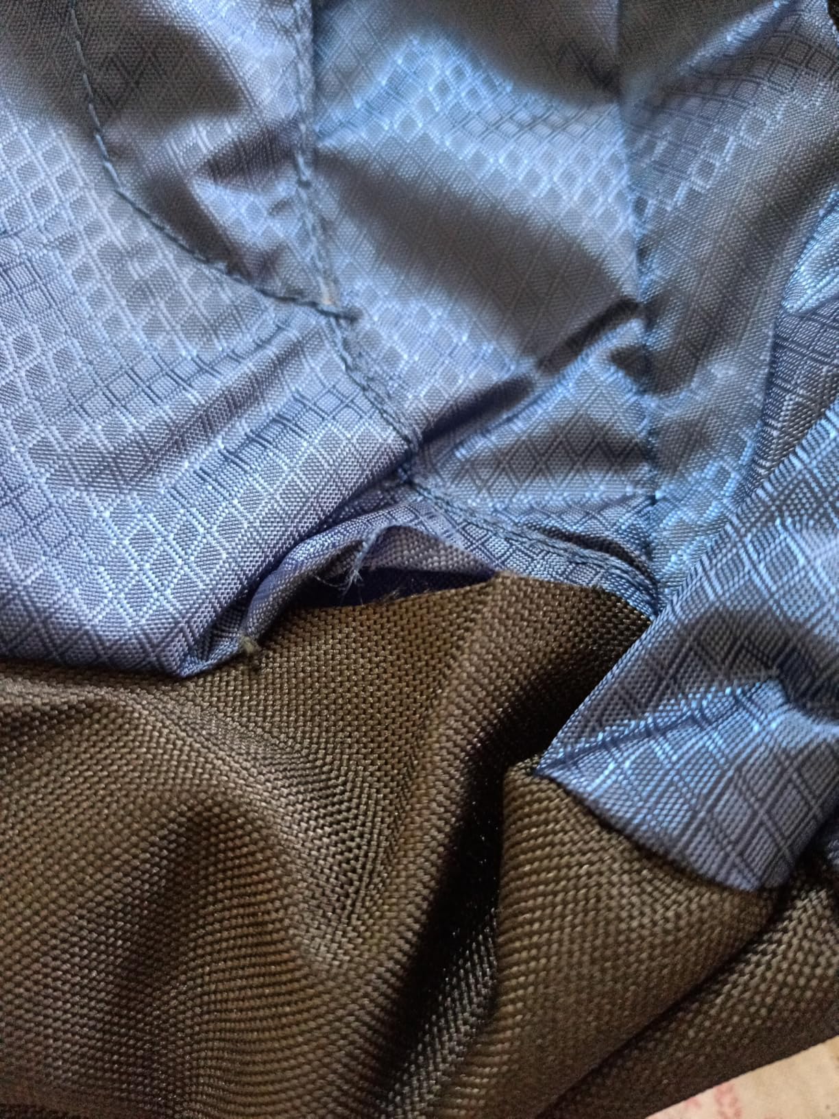 Buy Aristocrat Solid Pattern Amp Laptop Backpack (H) Blue (Blue, Medium