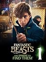 Fantastic Beasts and Where to Find Them