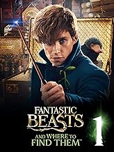Fantastic Beasts and Where to Find Them