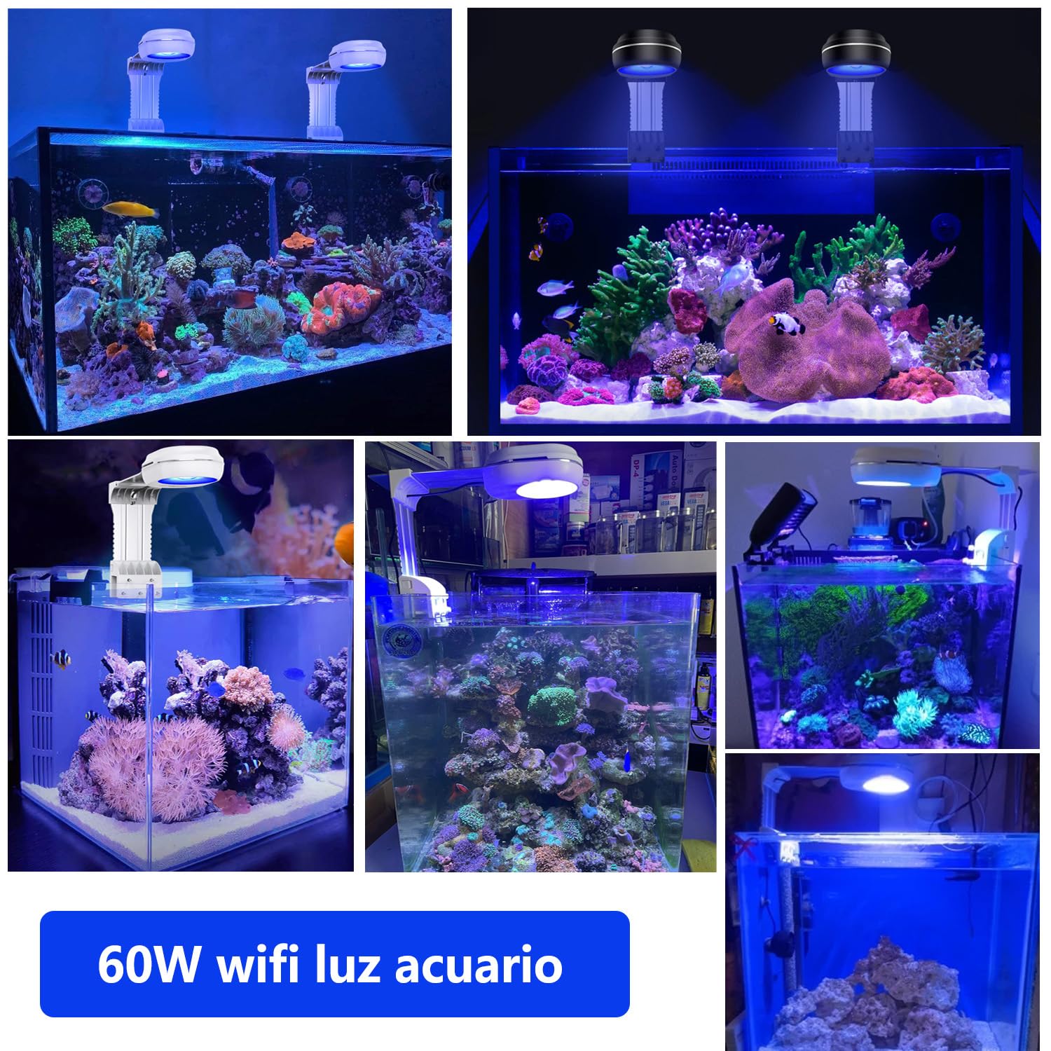 PopBloom RL60 WiFi 60 Watts Acuario LED Luz de Arrecife, Smart-APP Control con Sol Azul LED marino para tanques de peces de coral de agua salada