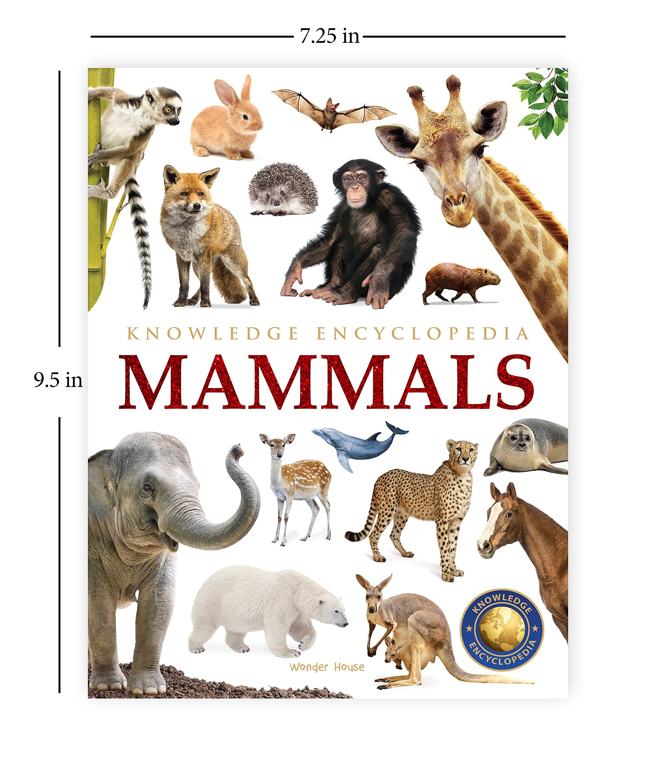 Animals - Mammals : Knowledge Encyclopedia For Children