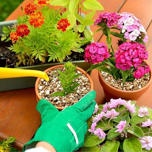 Miniatura 5 de Halatool Vermiculita profesional de 4 cuartos de galón de horticultura Vermiculita de grado grueso adictivo para plantas Jardinería Setas Semilla de