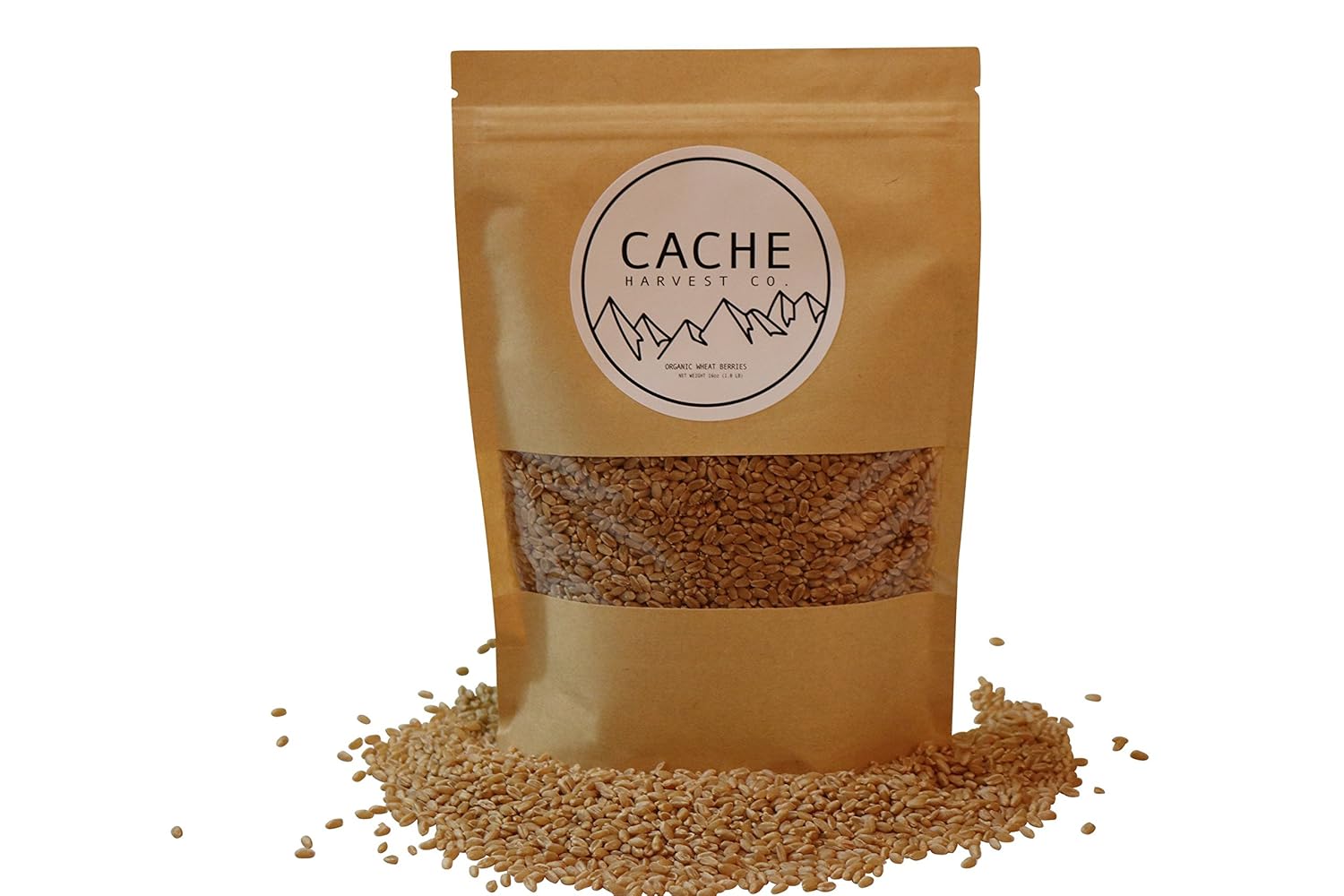 Hard White Wheat Berries 100 Organic The Best Wheat