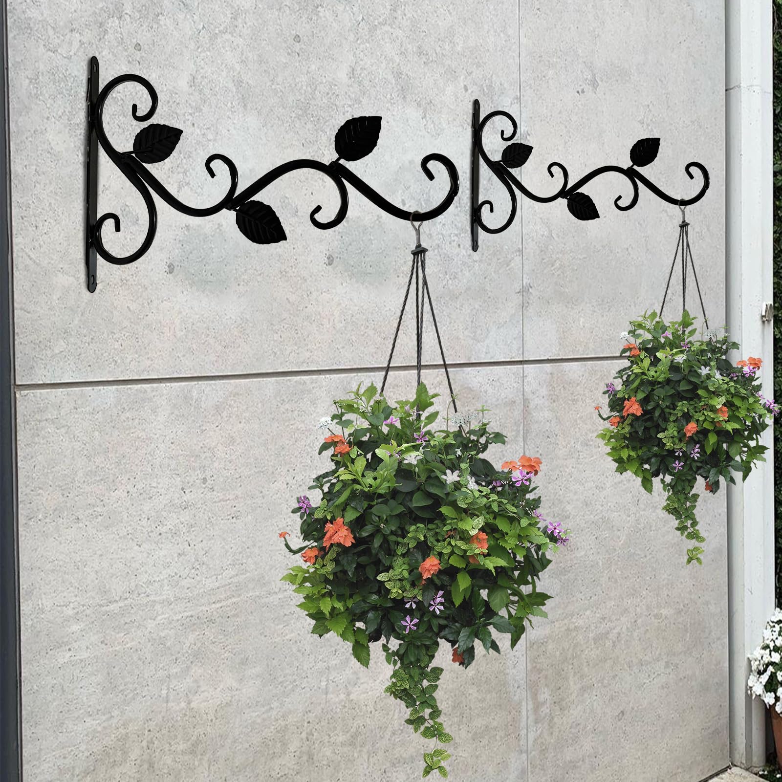 Bhina Pezzi Staffe Ganci Piante,Parete Staffa Pianta,Staffe Cestini Sospesi,Vasi Cesto Sospeso Staffe Fiori,con Viti,Utilizzato per Mangiatoie Uccelli,Campanelli Eolici,Decorazioni Casa Campagna