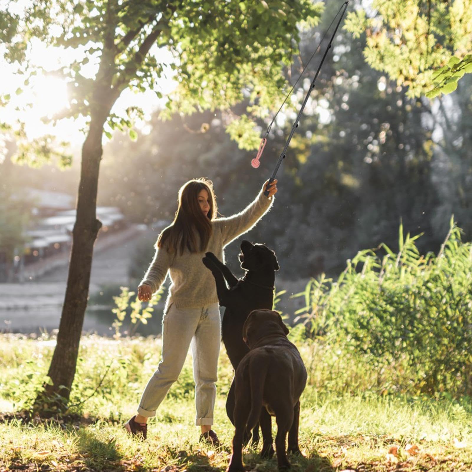 de juguete interactiva para perros | de juguete para mascotas retráctil, equipo de entrenamiento de agilidad, herramienta de ejercicio, accesorio de juego al aire libre para perros