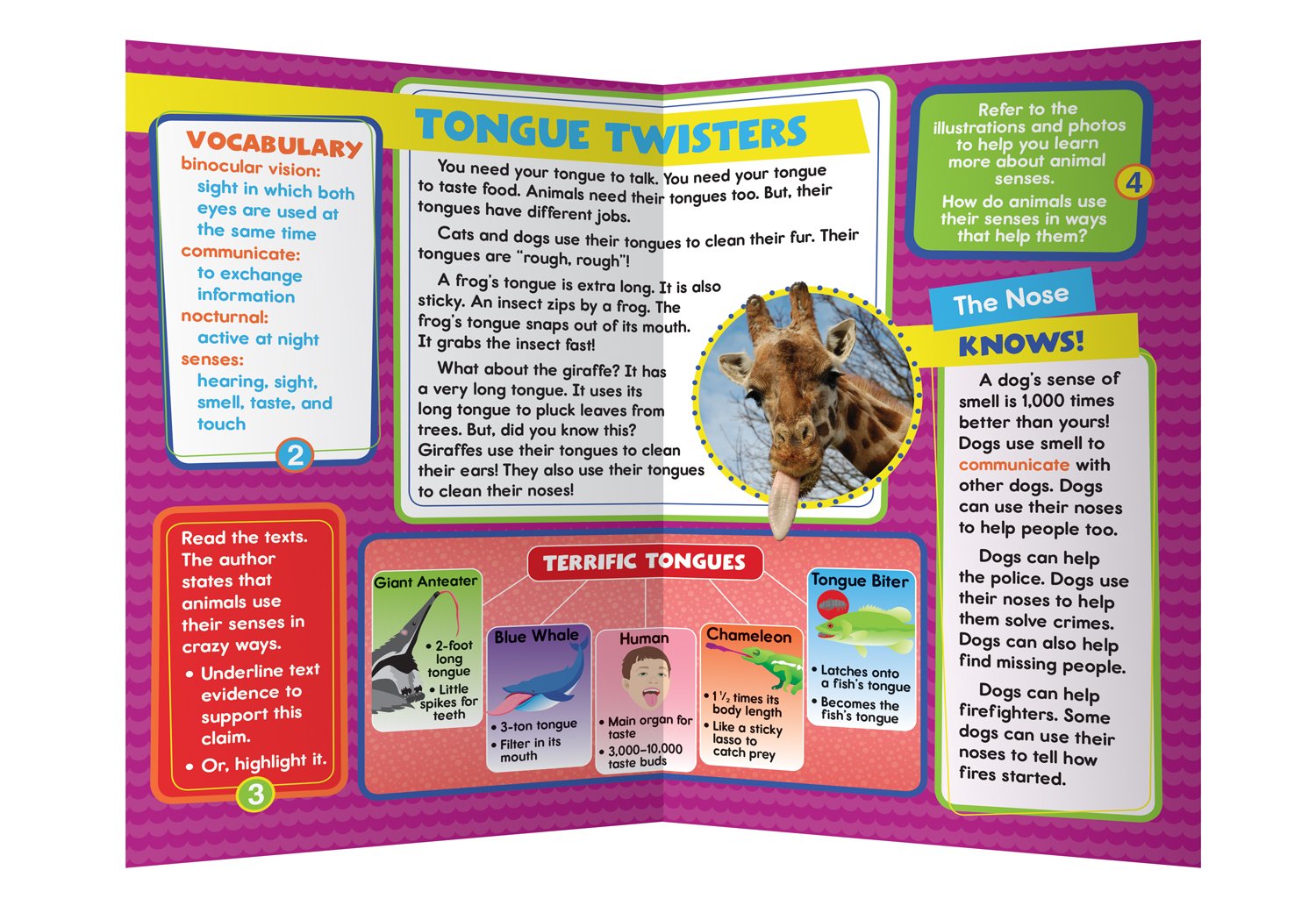 Guided Reading Synthesize Grades 1-2: Synthesize Resource Book