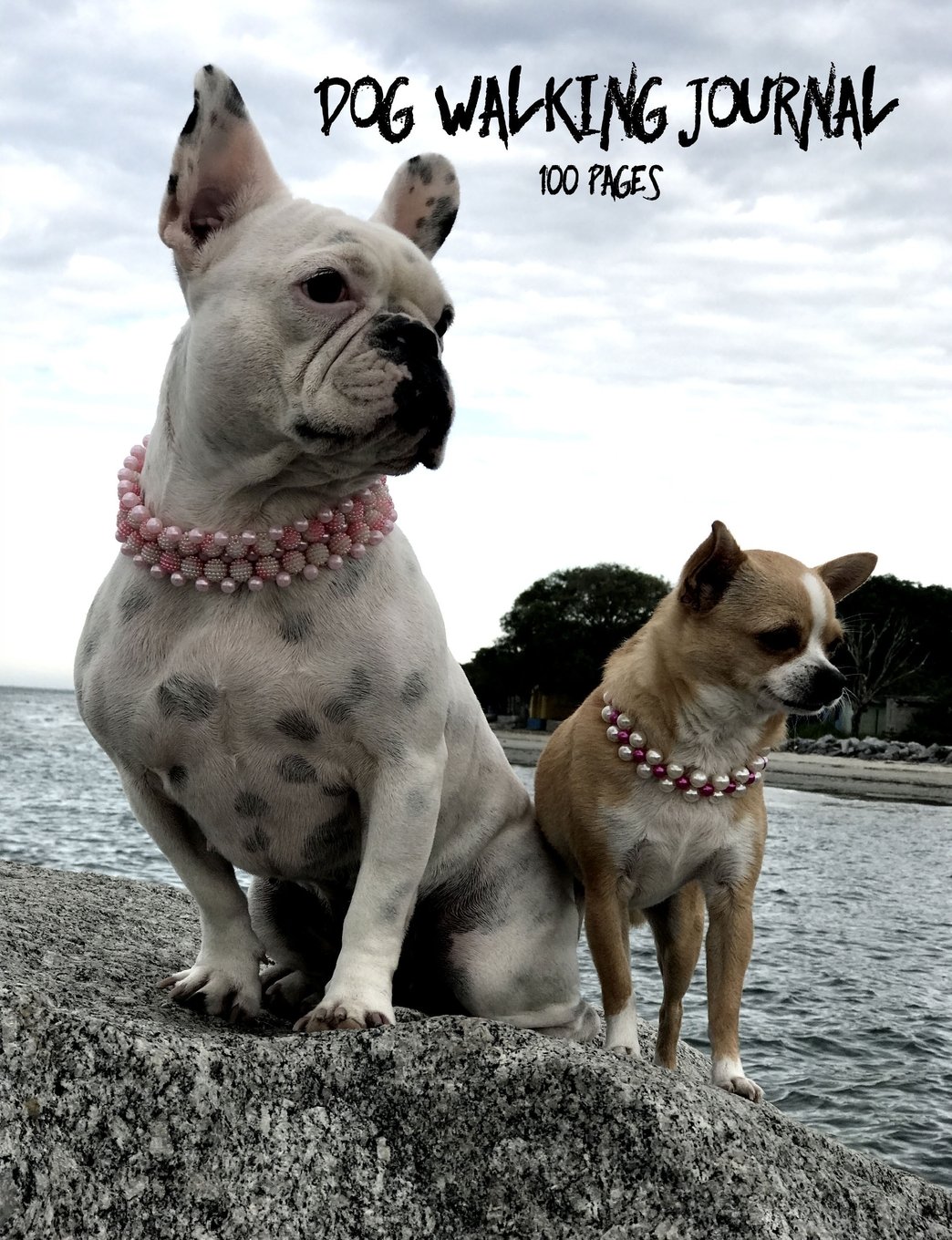 Dog Walking Journal 100 Pages: Bulldog Chihuahua Column Headings 7.44X9.69 For Dog Walkers