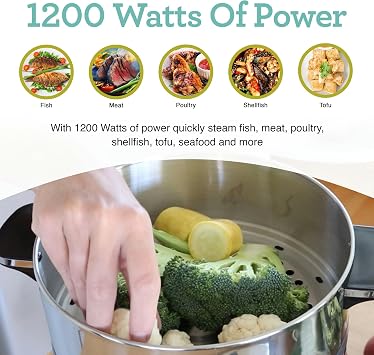 Euro Cuisine FS3200 Electric Food Steamer, Versatile Vegetable Steamer & Steam Cooker for Healthy Cooking, Ideal for Fish, Veggie, Meat, Easy Cleaning, Stainless Steel Design 1200 Watts