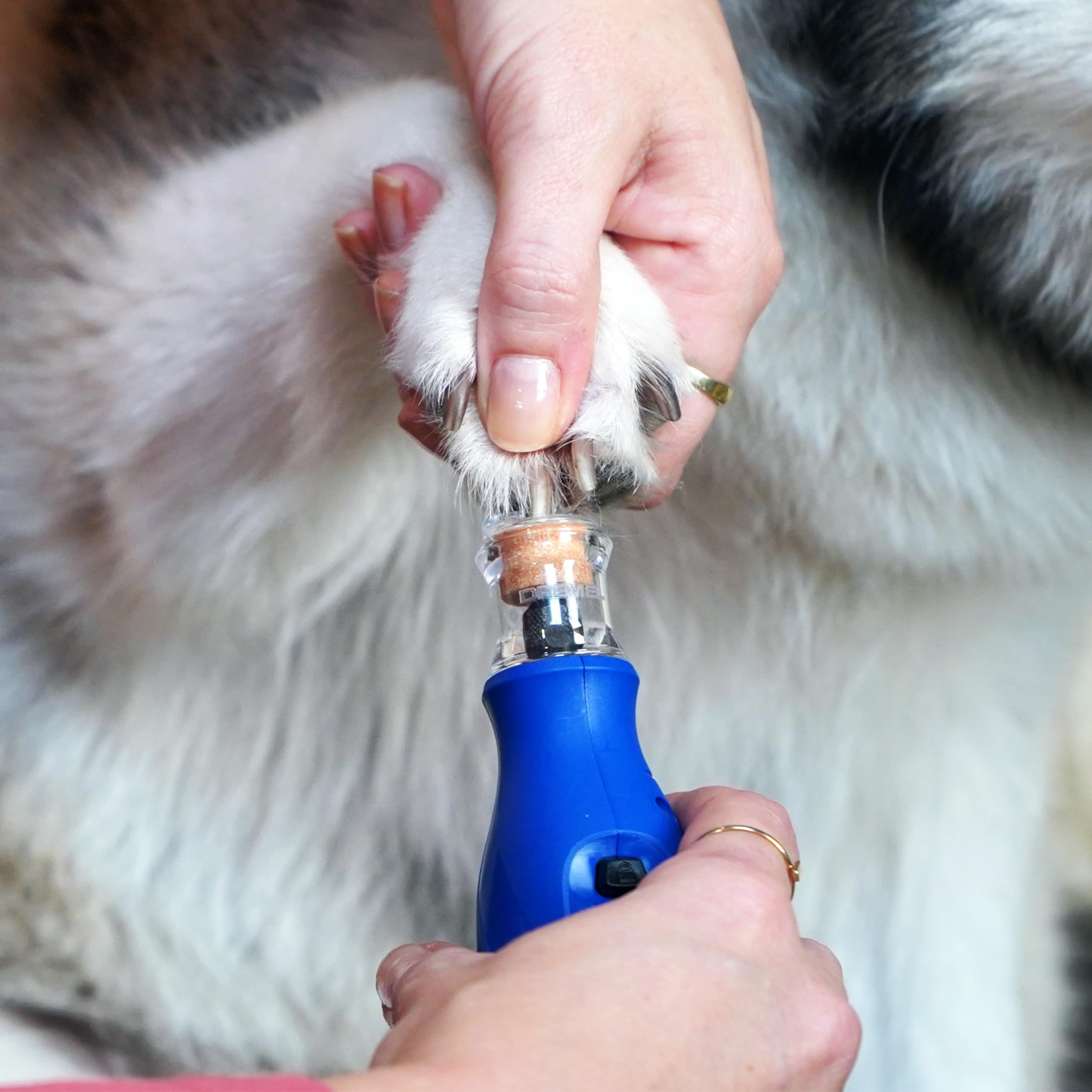 Dremel 7350 PET Krallenpflegese mit 3.6V Akku-Rotationswerkzeug Einfach zu bedienende, leichte Krallenschleifmaschine mit 2 Schleifzubehören, 1 Schutzhaube & 1 USB-Kabel geeignet für Hunde und Katzen