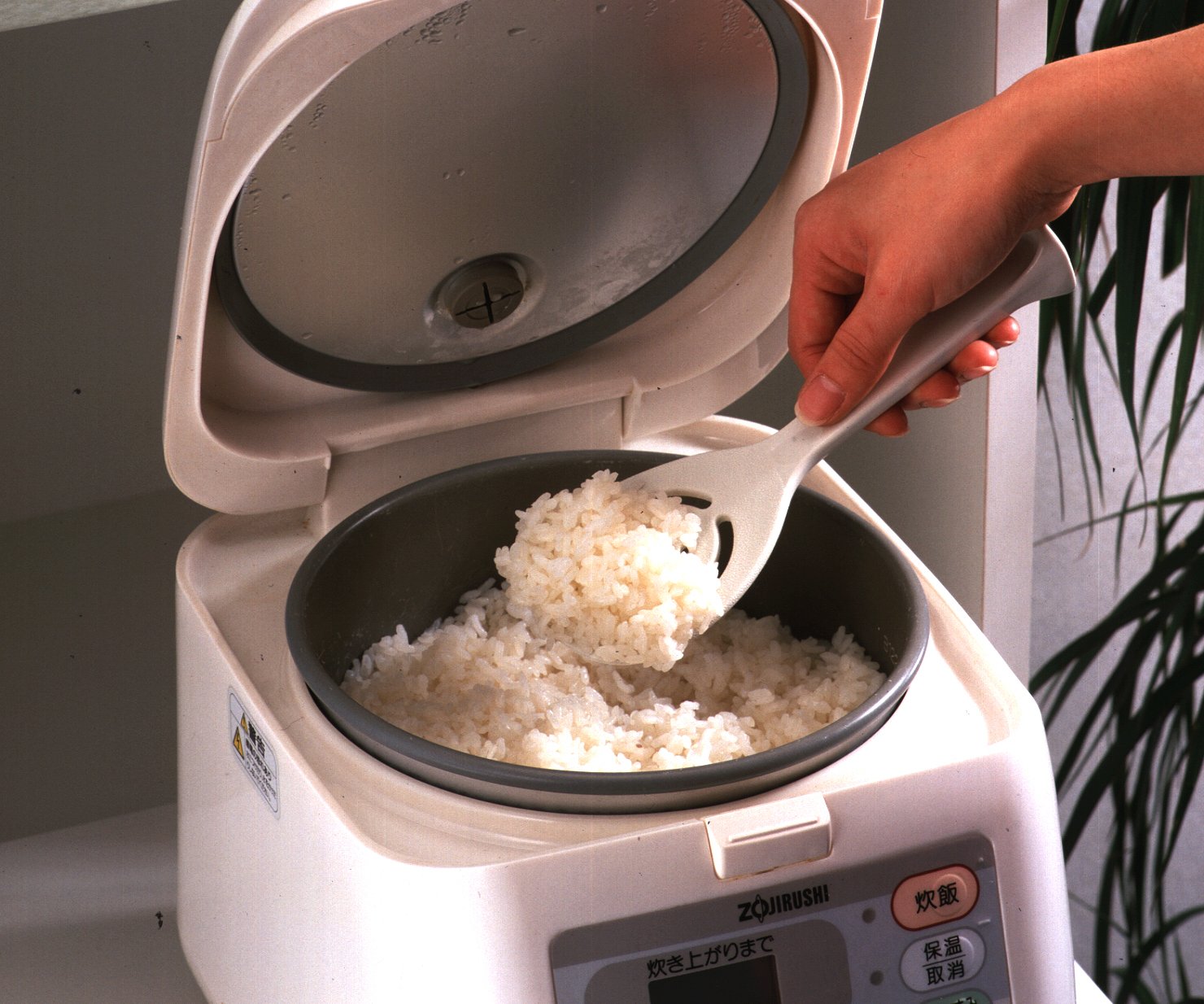 Amazon.co.jp : タイガークラウン ひとり立ち しゃもじ No.2294