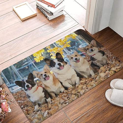 Miniatura 6 de Alfombra personalizada para decoración de puerta, tapete antideslizante personalizado para suelo, 16 x 24 pulgadas, para dormitorio, baño, sala de