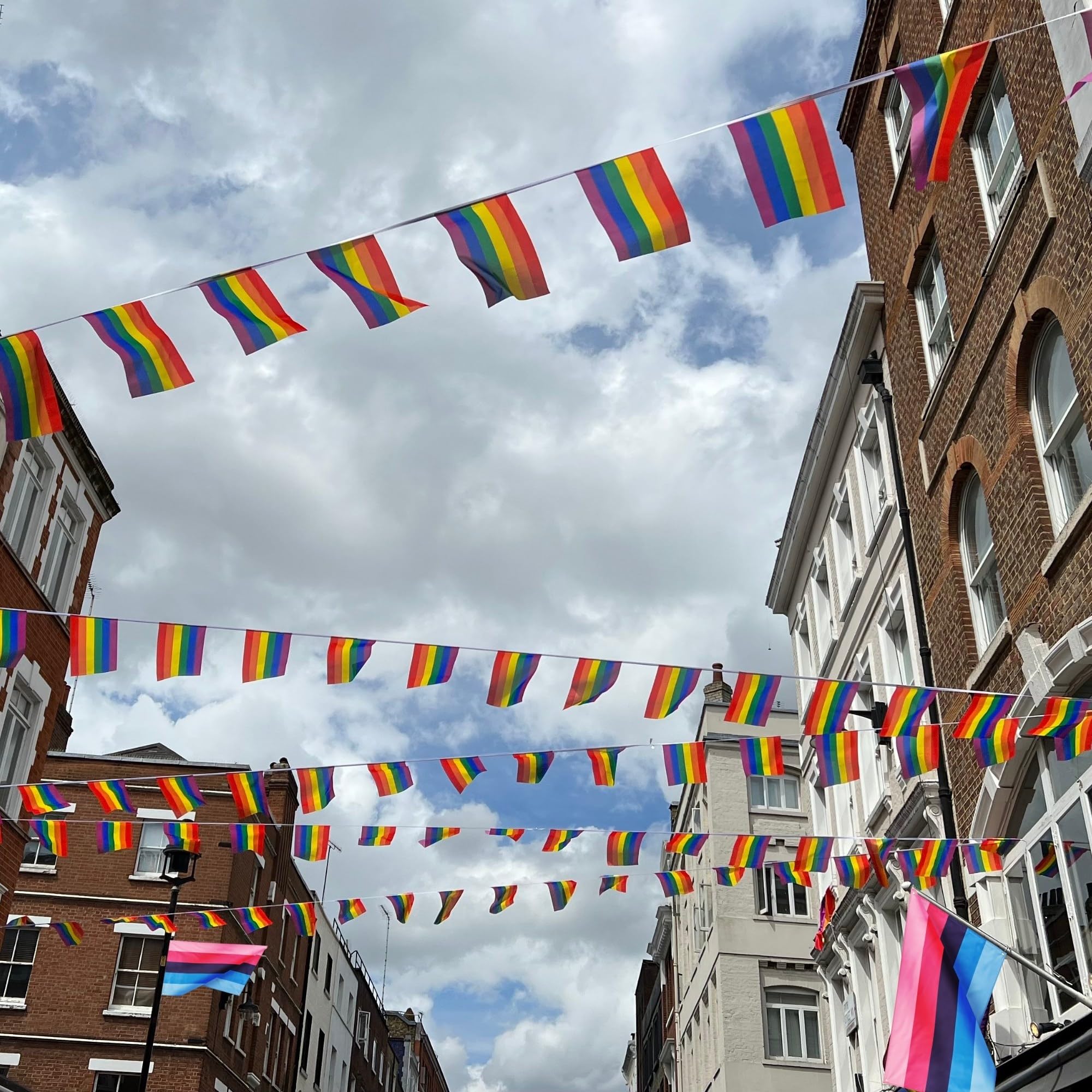 Runesol Omnisexual Pride Flag, 91x152cm, 3ft x 5ft, 4 Grommets, Eyelet In Every Corner, Gay Pride Flag, LGBT+ flag - Image 3