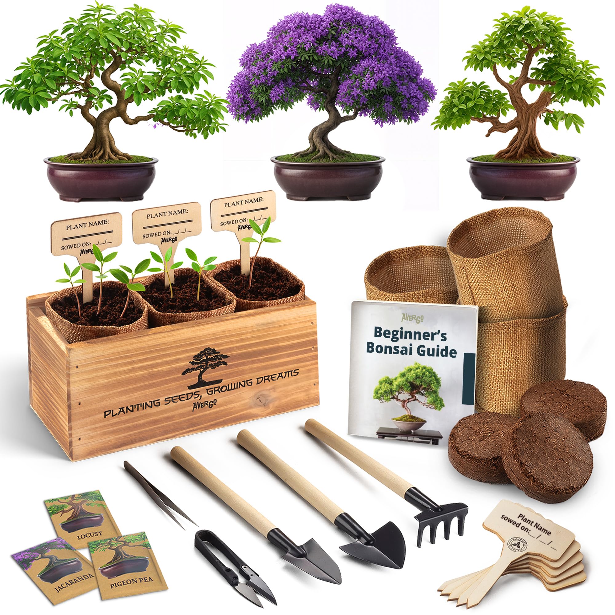 Amazon.com : Avergo Bonsai Tree Kit – 3X Unique Japanese Bonzai