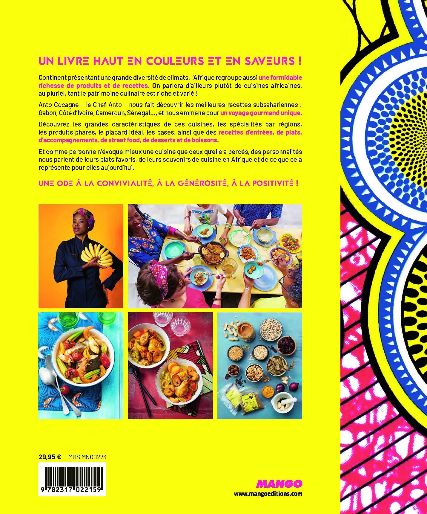 Goûts d'Afrique: Recettes et rencontres