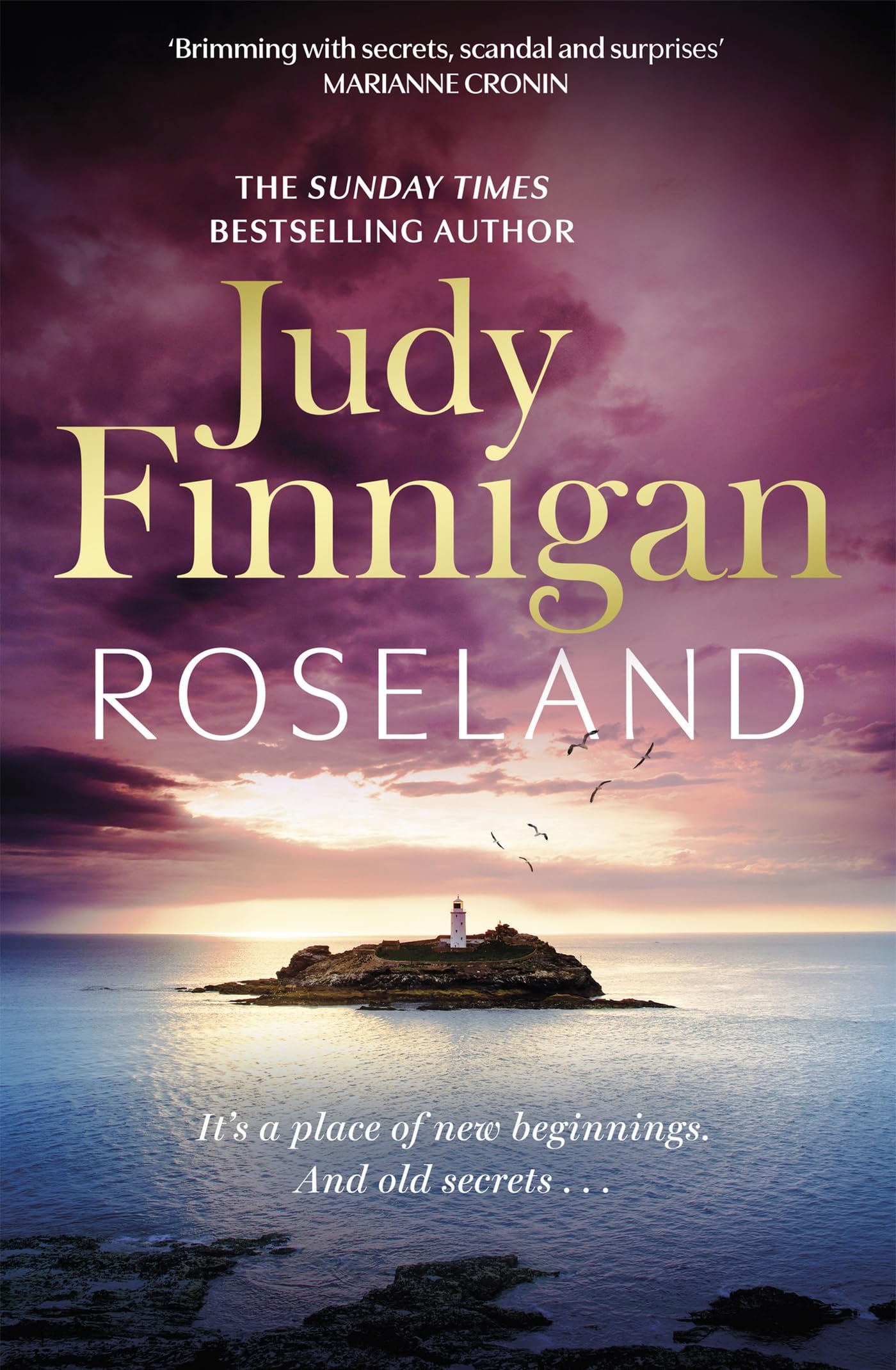Roseland: The beautiful, heartrending new novel from the... - Finnigan, Judy