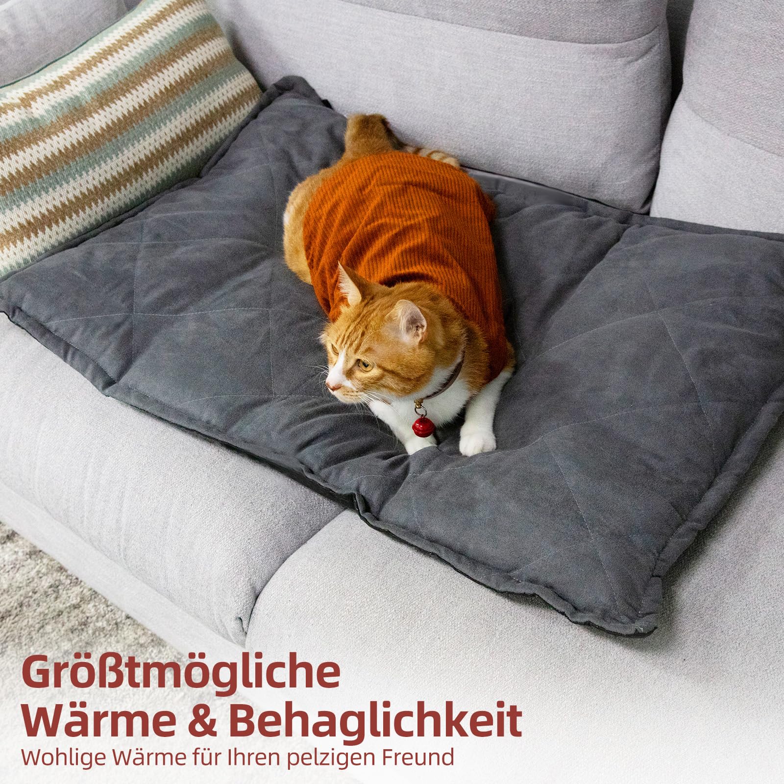 Mora Pets Tappeto riscaldante gatto Coperta autoriscaldante per gatti e cani Tappetino riscaldante Senza elettricità e batterie Coperta termica Rimovibile e Lavabile 60 x 46 cm