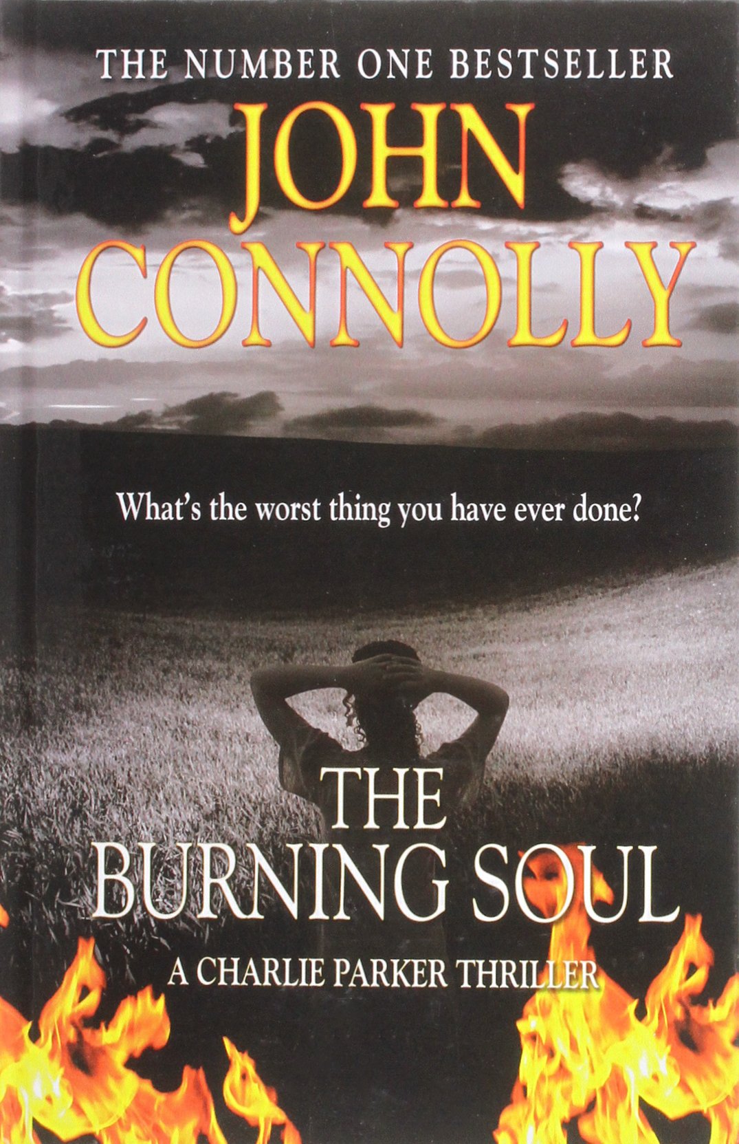 Buy The Burning Soul — BookShops.in