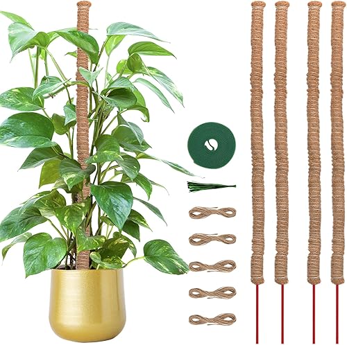Whonline 4 varillas de musgo de 27 pulgadas, soporte para plantas de interior, Monstera, Pothos
