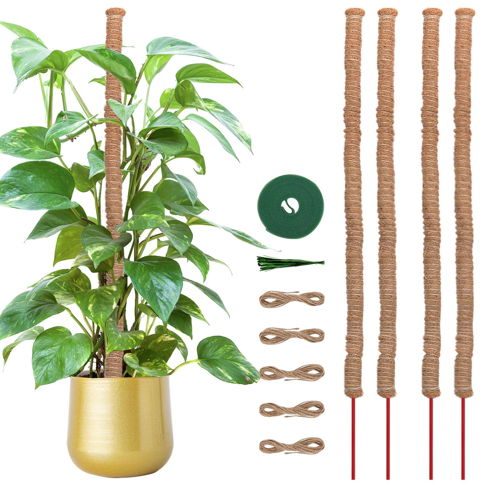 Whonline 4 PCS Moss Pole 27 Inches Plant Sticks Support, Plant Stakes for Indoor Plants, Monstera, Pothos
