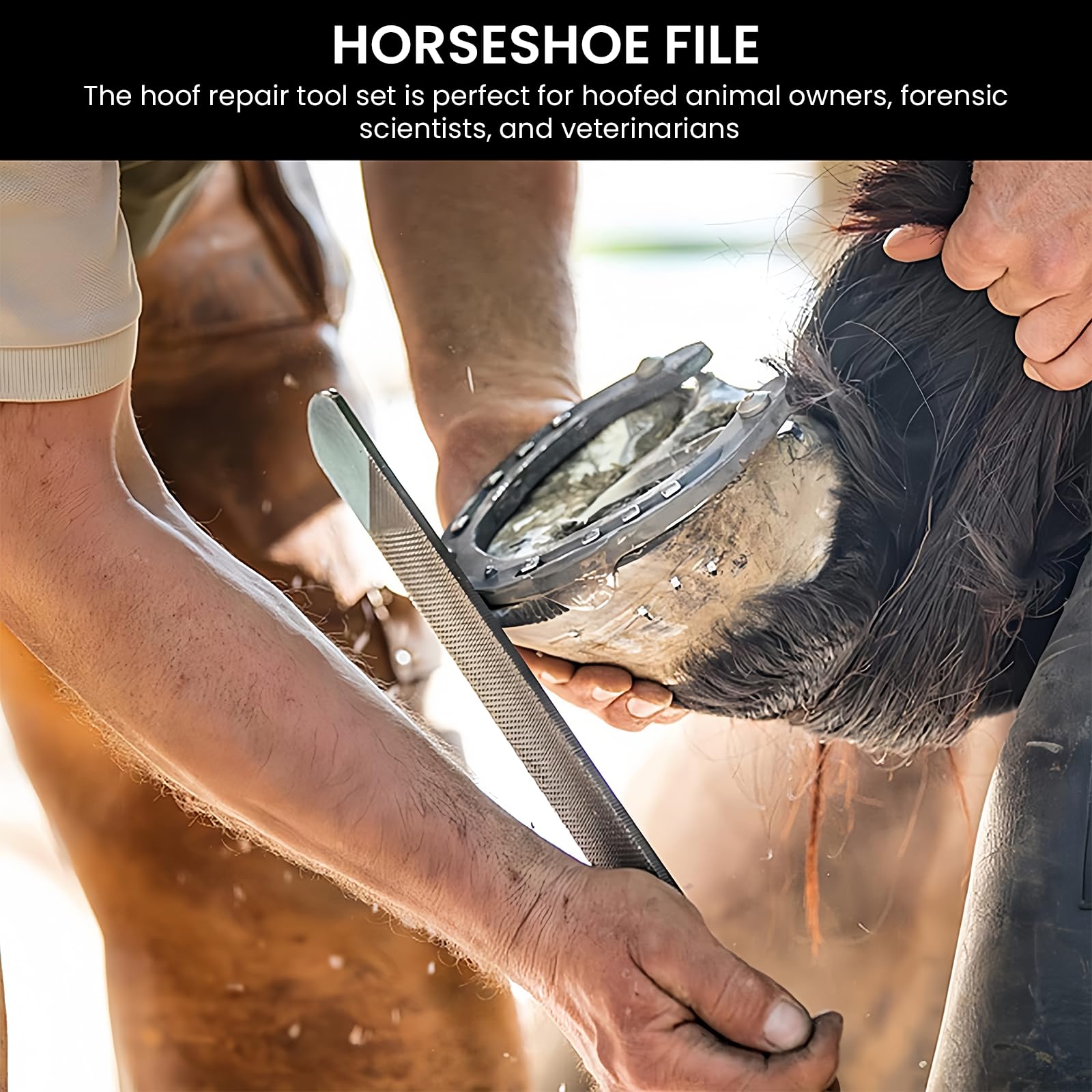 Lima De Herradura,8 Pulgadas 200MM Lima Para Pezuñas De Caballo Con Mango,Cuchillo Para El Cuidado De Las Pezuñas,Escofina Para Pezuñas,Escofina Profesional Para Lima De Caballos Para Vaca,Caballos