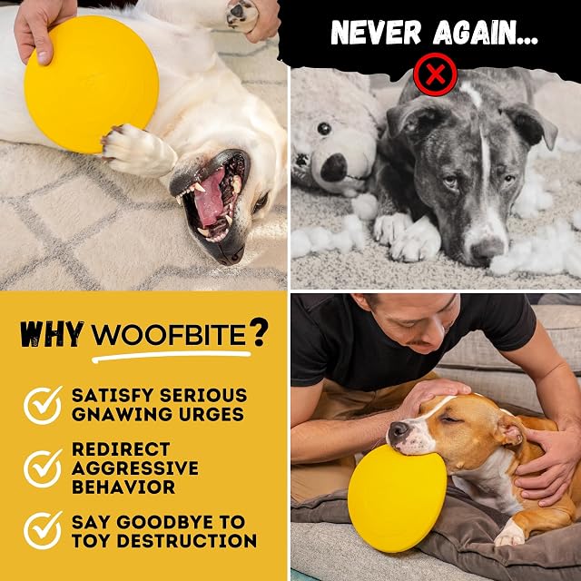 Foto 7 de 7 de WoofBite Disco de Aire súper Duradero para Perros