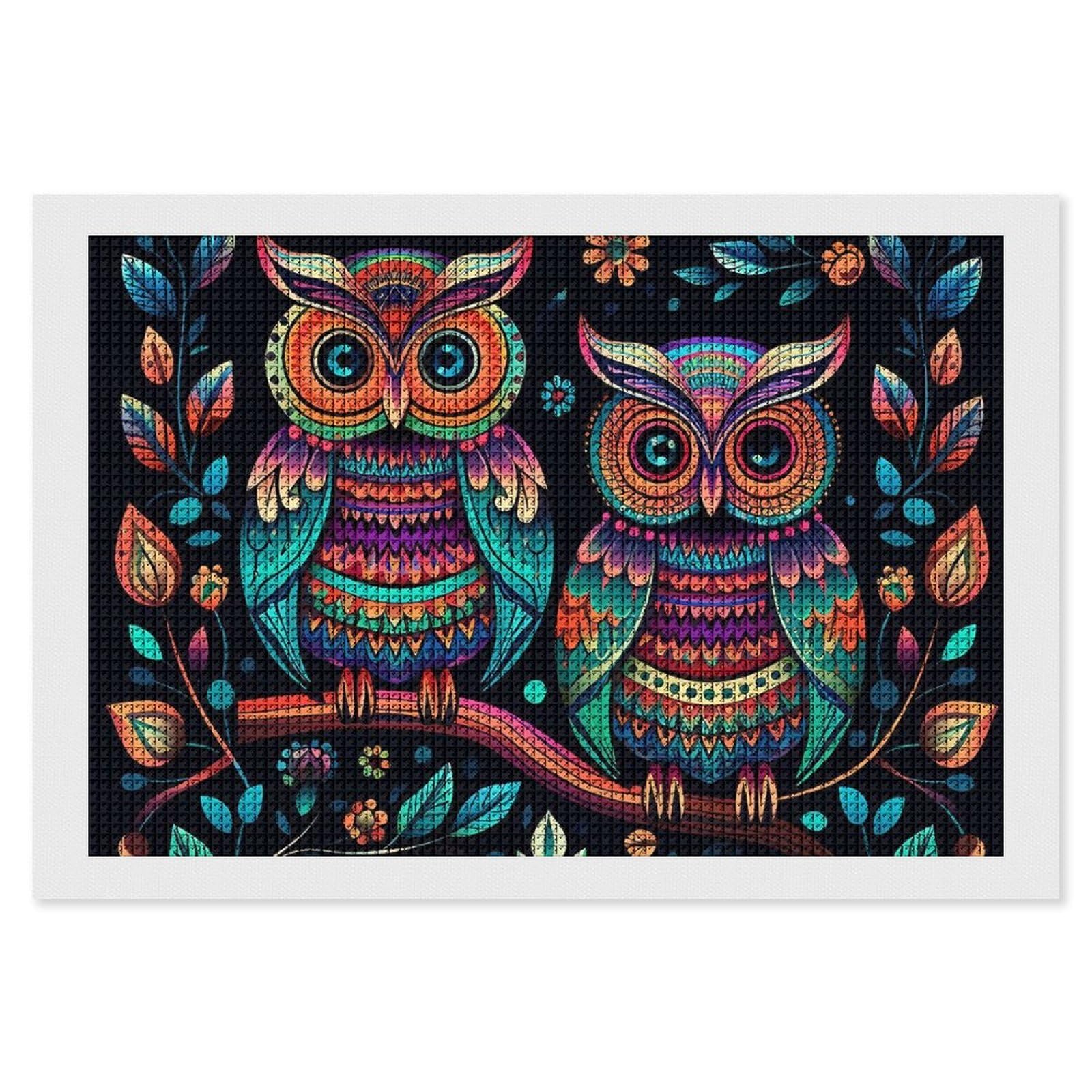 Colorful Owl Pictures Diamond Art Kits for Adults, DIY 5D Diamonds Painting Kits for Beginner, Round Full Drill Diamond Dots Painting, 8"x12" Diamonds Pictures Gem Art and Crafts Wall Decor