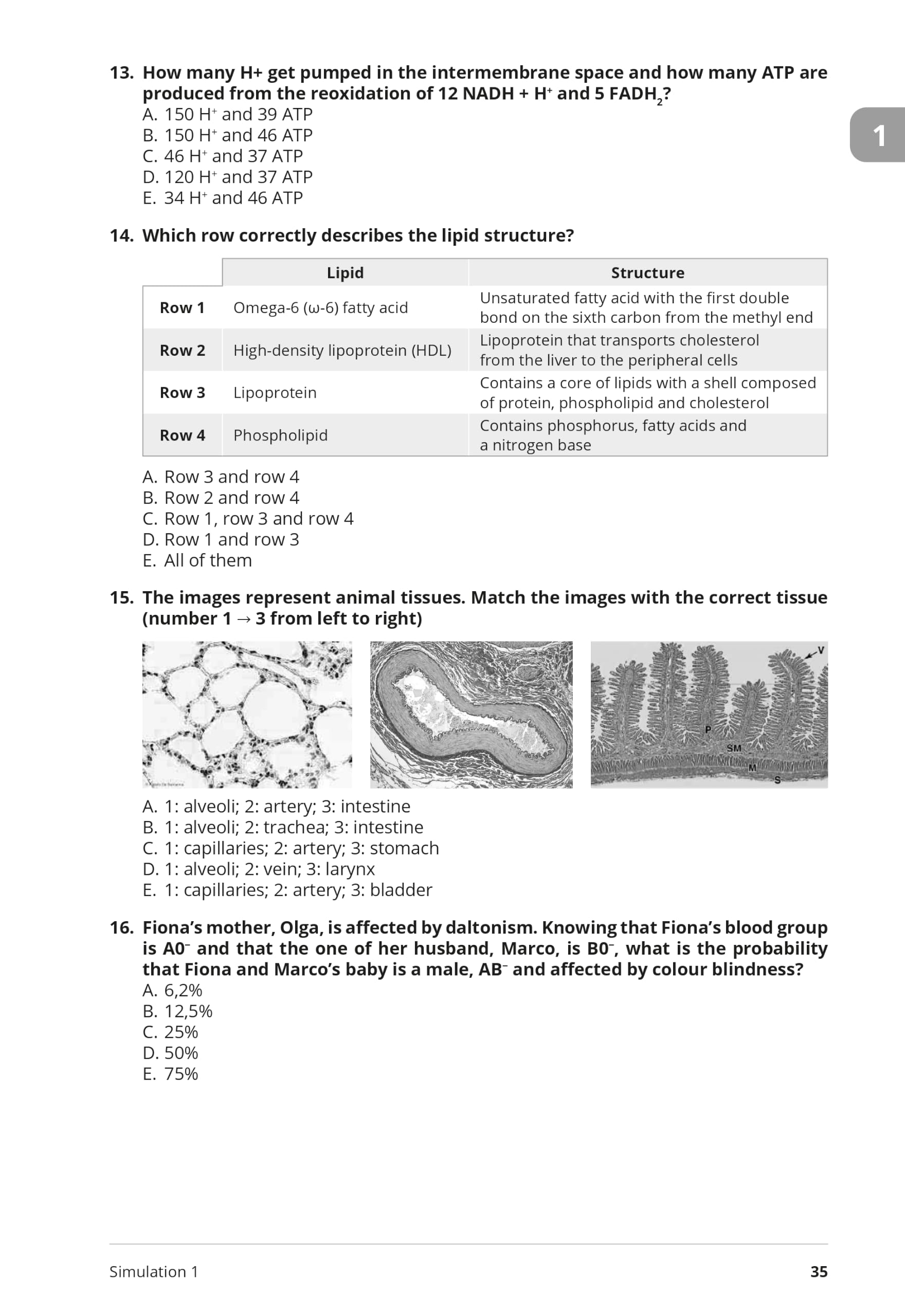 Testbusters. IMAT. Medicine in English. 10 simulations + explanations