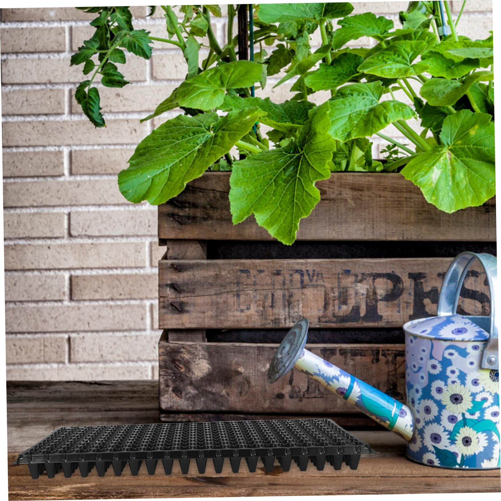 BESPORTBLE Plateau de Semis en PVC Noir, 10 Pièces, 200 Cellules, pour Culture et Repiquage, pour Jardinage DIY et Usage Professionnel