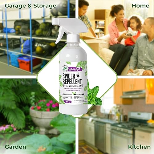 Miniatura 5 de Mighty Mint Aceite de menta repelente de araña de 8 onzas, espray natural para arañas, insectos y más, (paquete de 2)
